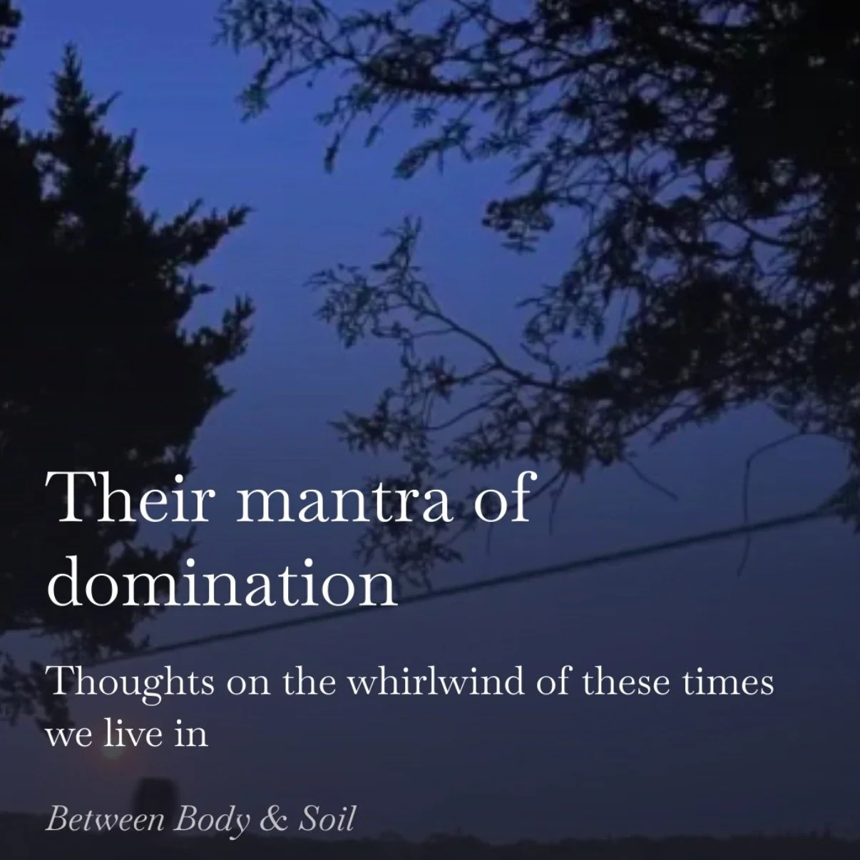 Many things reveal themselves in times like this. Hard truths. Devestations. Hopelessness. Privilege. Hope. Anger. Grief. Systemic issues we&rsquo;ve been fortunate to overlook. Until now.

Again.

It is shocking to witness the political scene. The l