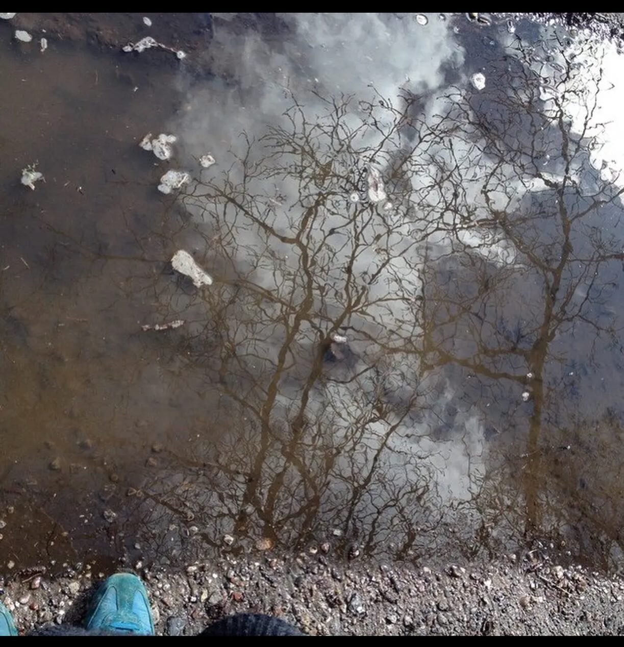 Preparing for the coming Earth Medicine Mentorship and weaving in more about ancestry and ancestors. 

The ones of the bones, the culture, the place in which they grow their roots, the ones that have formed and shaped their world view. Who are &lsquo