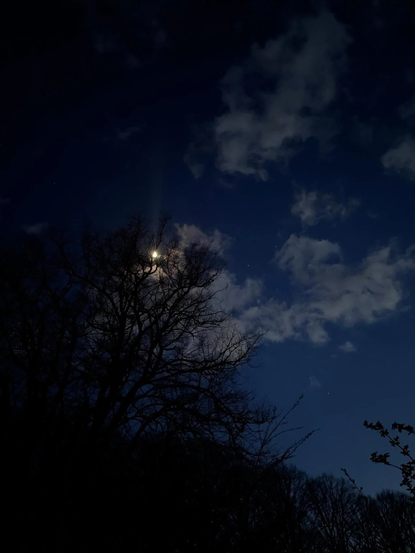 To be the apprentice and to be the mentee to something. I&rsquo;ve done apprenticeships and mentorships. To the body, to nature. I was once asked by a teacher to be the apprentice of fire for a month.

Come April I&rsquo;m doing another Earth Medicin