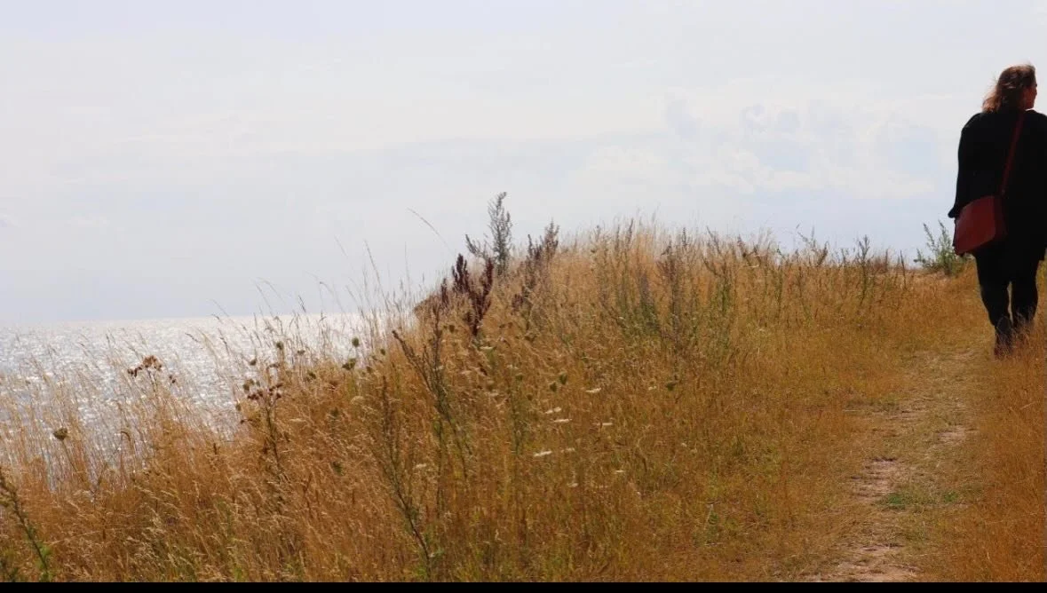 To apprentice this wild life. 

I reflect a lot about sending new offers into the World Wide Web of things. Is it needed, really? Is it more noise. Another offer pulling us away from what really matters. 

In a time of climate grief, biodiversity los