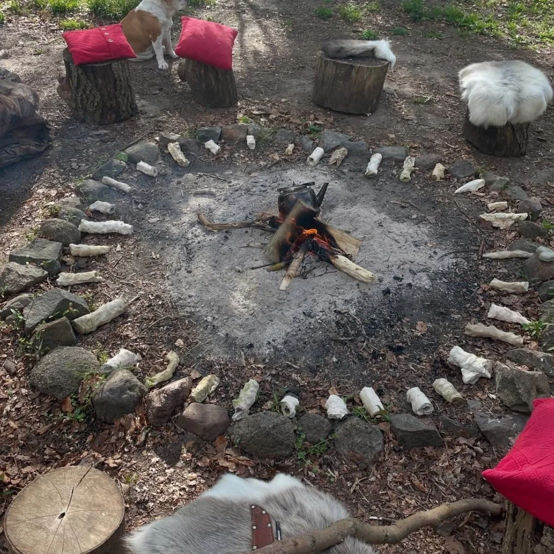 Three spots left for the mentorship that begins in April. I feel fortunate, lucky, thankful. This is my only offer this year. I want to make it feel special - for them and me. :) 

When people have signed up for courses they&rsquo;ve often proposed t