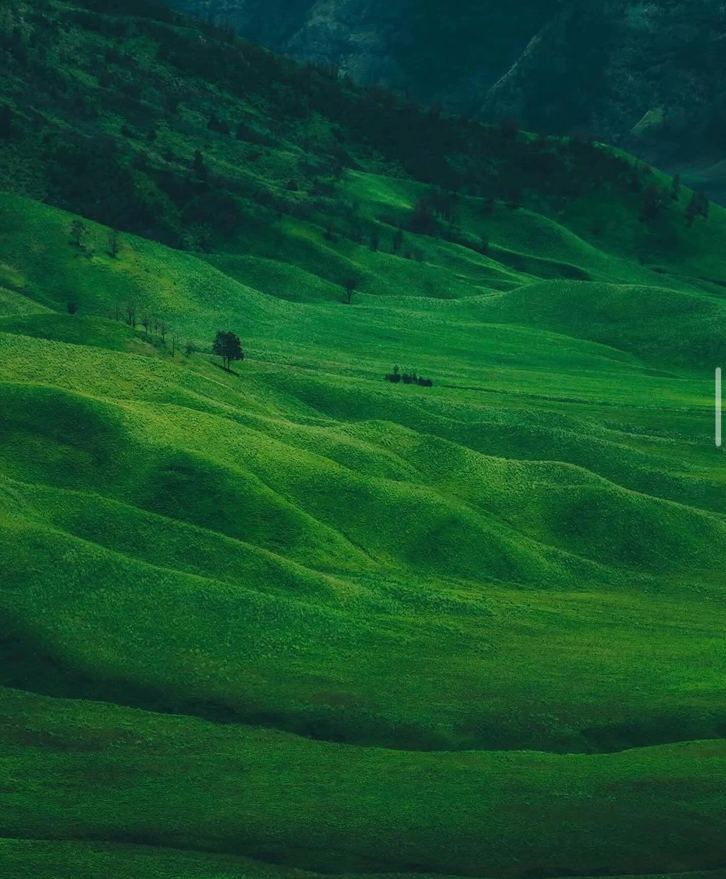 It&rsquo;s election day here in the land of privilege 🌱 I know where my vote is going to be placed. And there&rsquo;s still a part of me that has trust in that vote, however difficult power seekers on the posters make it feel to do so. I hope today 