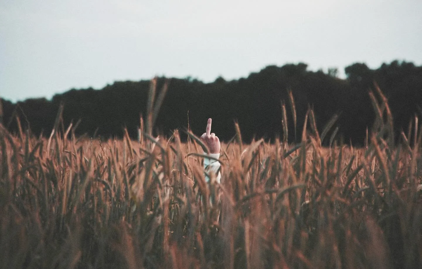 It&rsquo;s a disgrace. 

The blind eye thing. The lack of outrage. Political. The drowning effects of coding. 

It&rsquo;s a disgrace that anything seems justifiable, as long as your finger points back firmer, with stories that make no sense. And tha