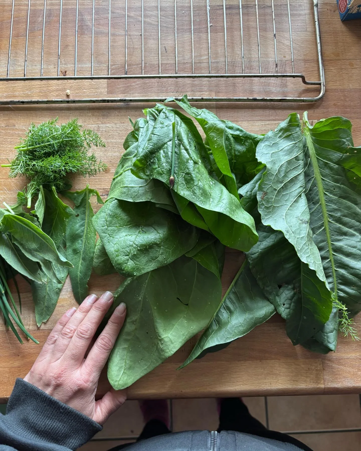 All things herbal and homegrown this weekend. Salad from the early greens. Drying dandelion root. And herbal salt batch two done. 
Sauteed the dandelion green in butter and garlic. 🌱 

I love this time of year! We are working with plant and animal k