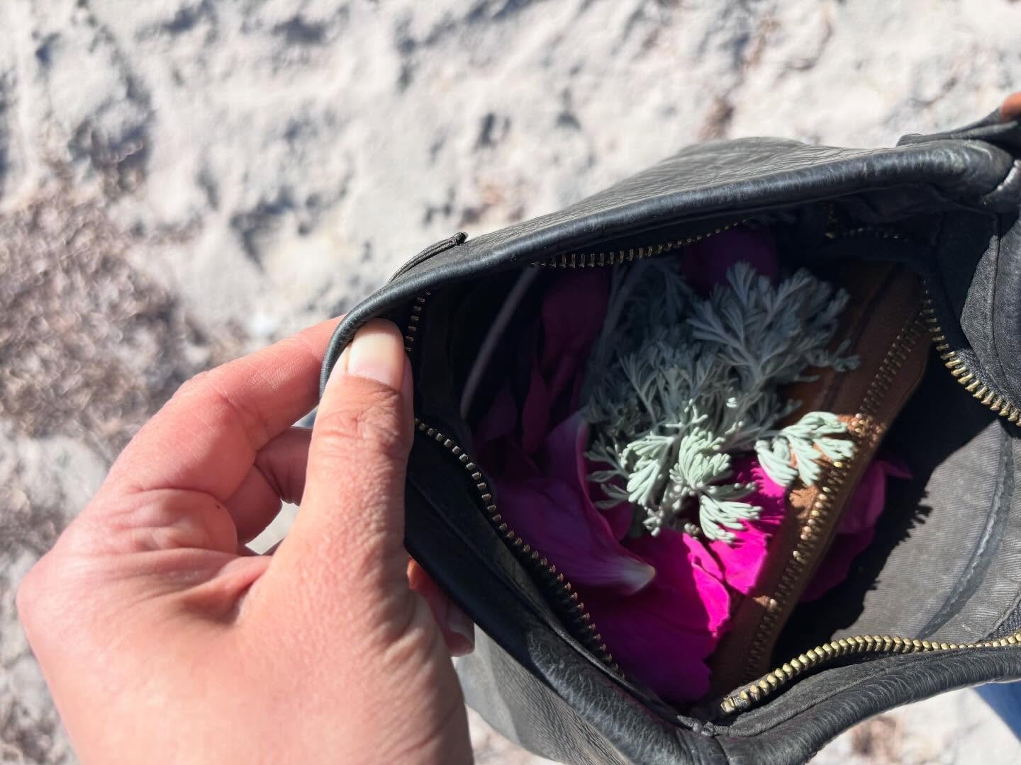 The season&rsquo;s currency 🌱 and a much needed moment alone on a beach.