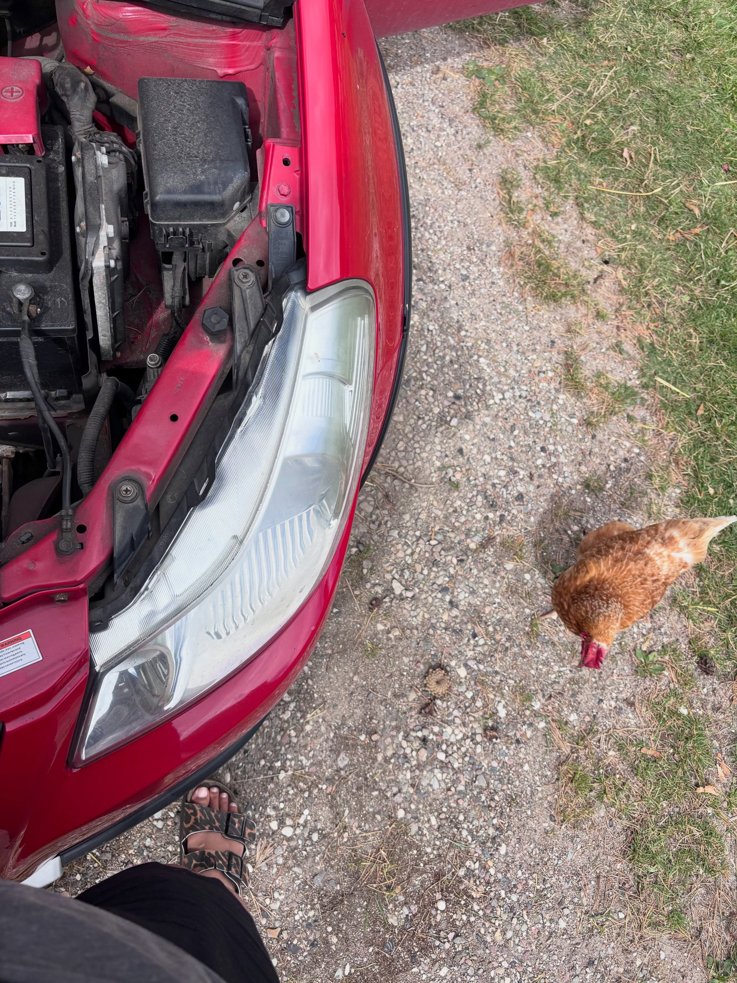Just two chicks &ldquo;fixng&rdquo; or destroying a car. 
We&rsquo;ll get back you shortly!