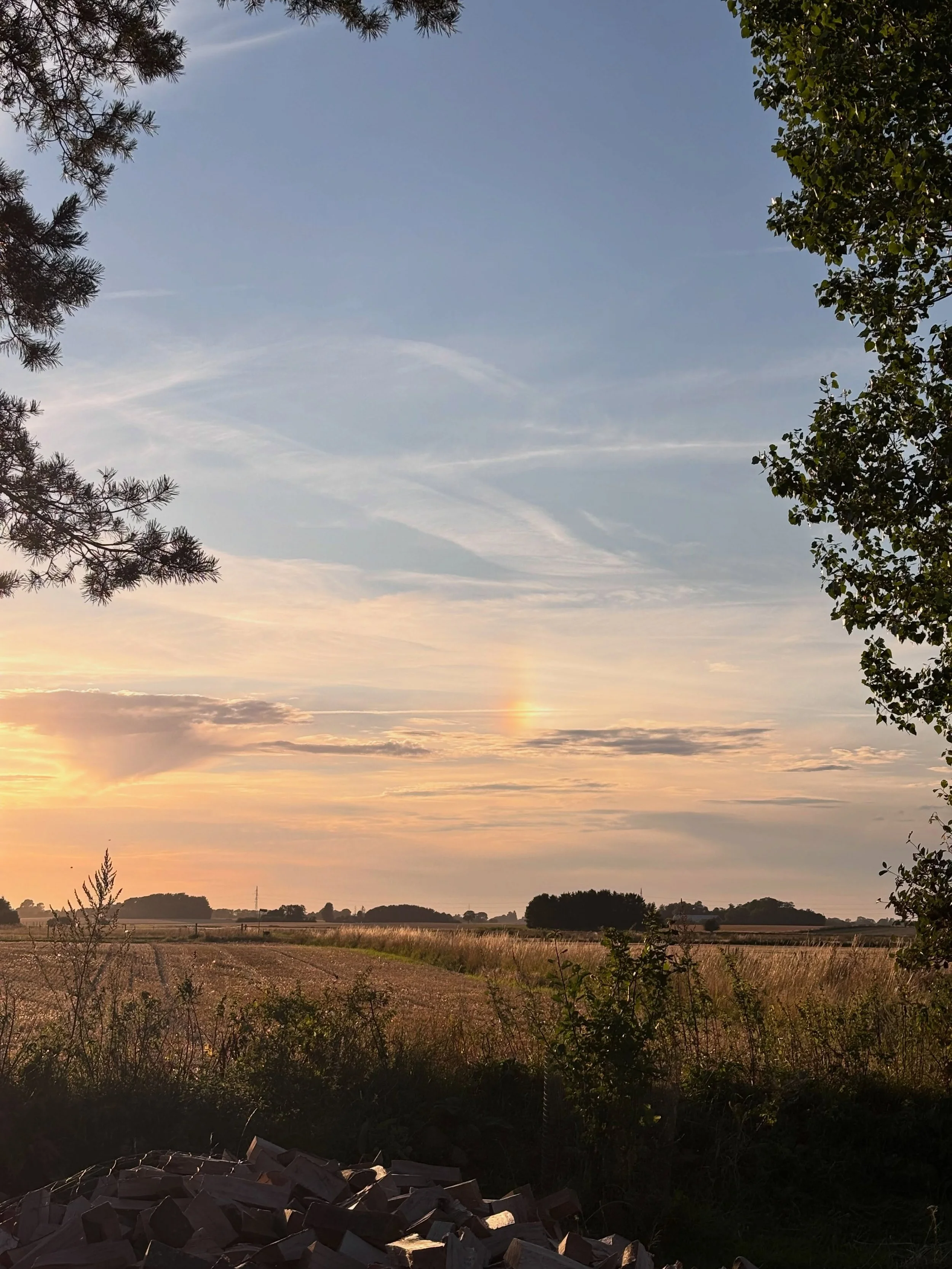 Today I visited my friend at the end-of-life care unit. He&rsquo;s my age. I just learned that weeks or days was the horizon. I don&rsquo;t know what to do other than write about it.

I drove up and even from the parkinglot there was a sense of calm.
