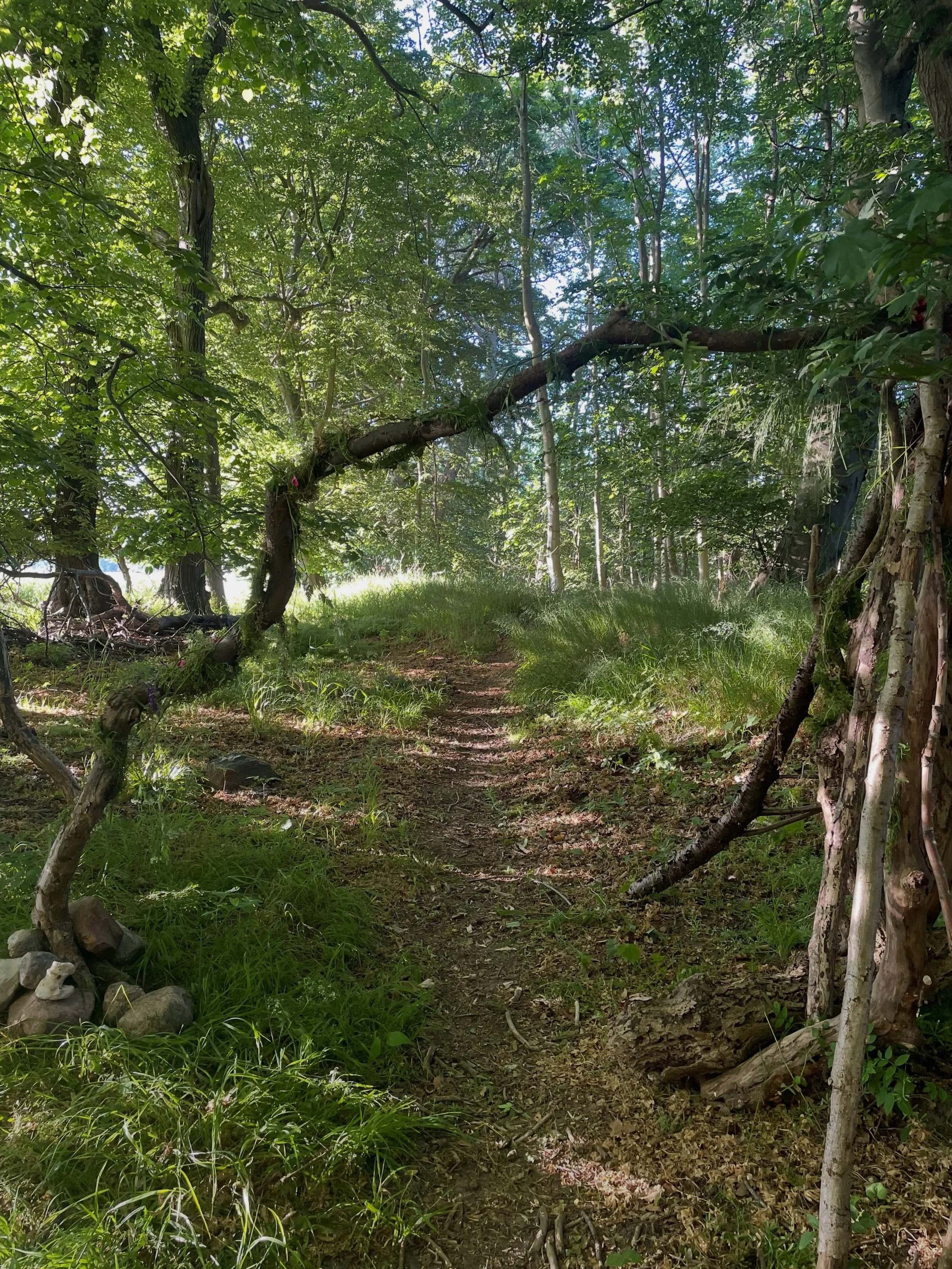 Tomorrow I gather with a small group of people, to explore thresholds through story! Stories of crossings and the life that waits beyond the familiar.

This beautiful spot between - and our capacity to navigate. 

The rain is said to pour, so maybe i