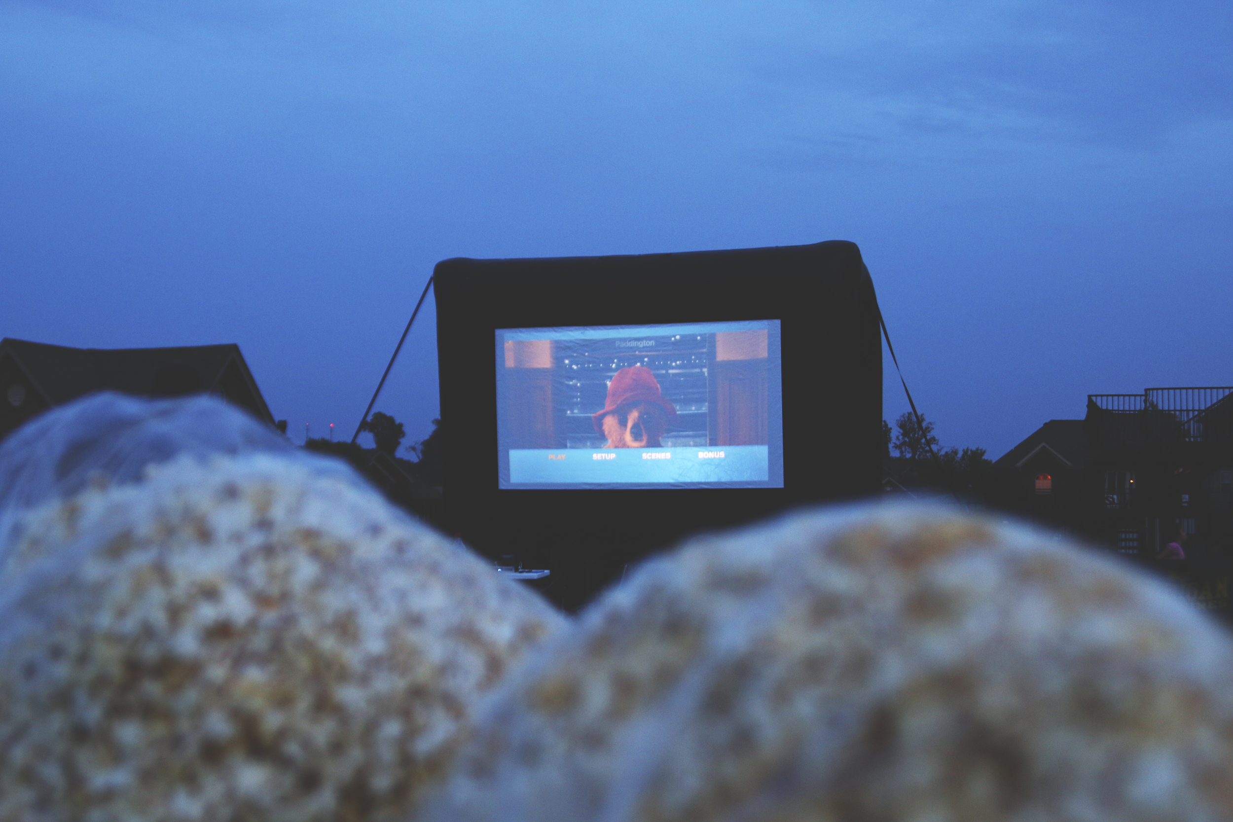 Entertainment System
