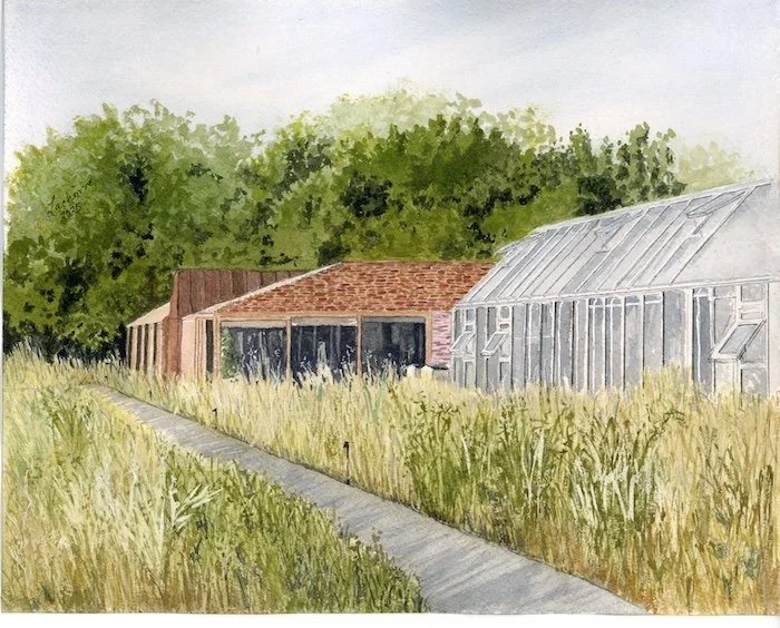 A watercolor painting of a rural scene with a pathway leading to two buildings, surrounded by tall grass and trees in the background.