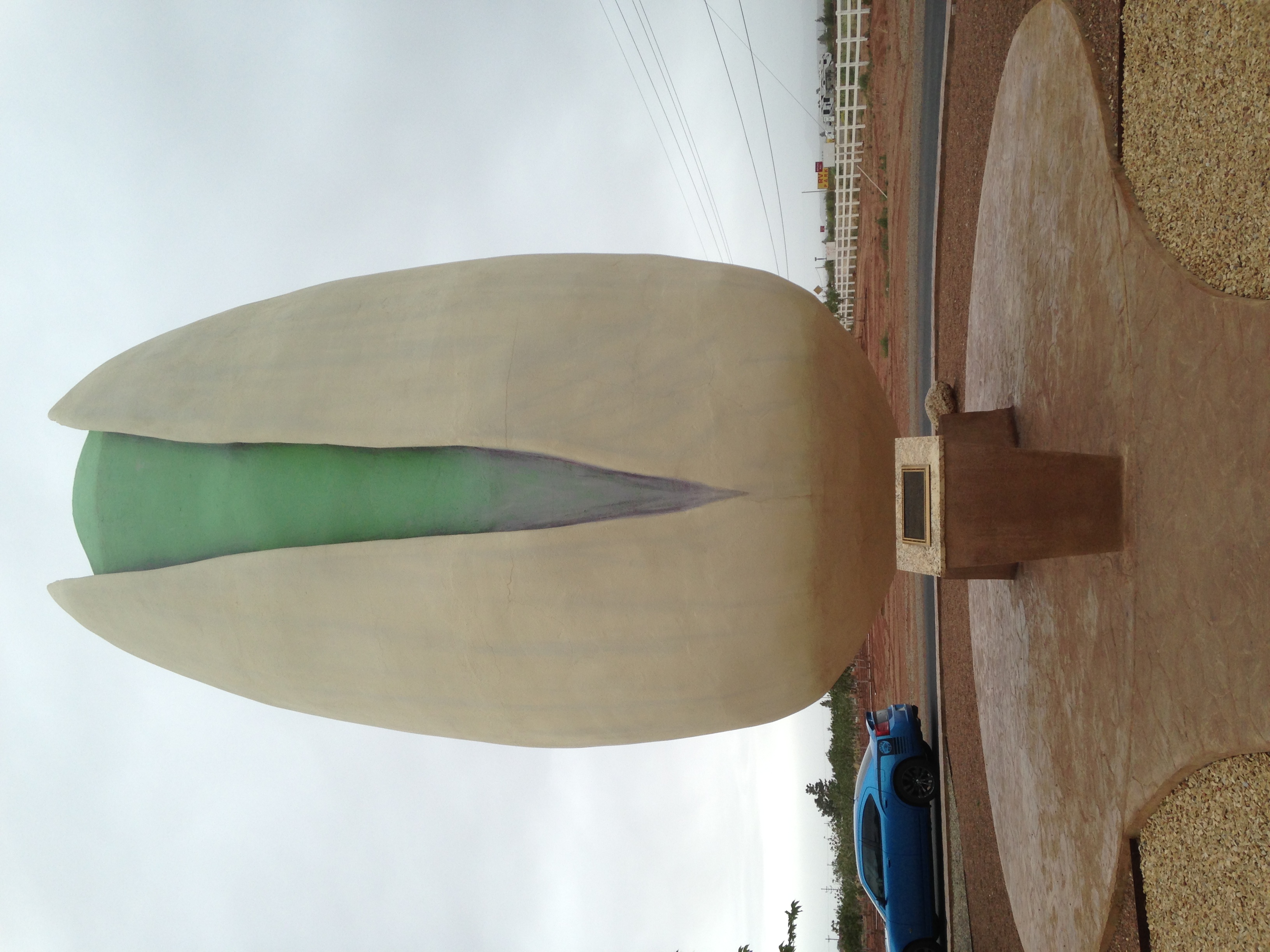 World's Largest Pistachio. Because 'murica. Photo by an appropriately awe-struck Kassondra