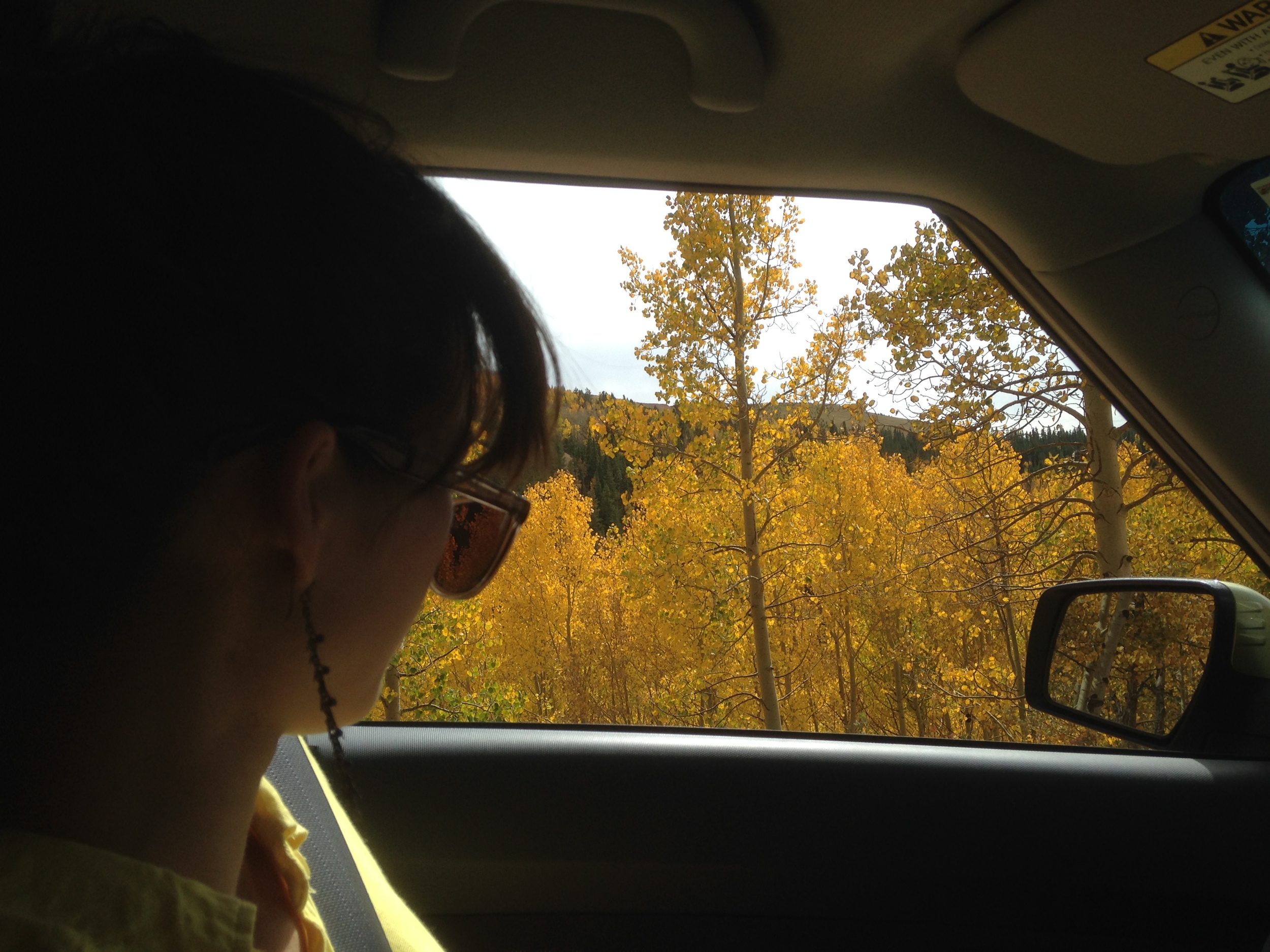We pulled over a lot to stare at particularly lovely aspen patches and breathe fall air, and to get out and literally run to the trees. Photo by Kassondra Cloos