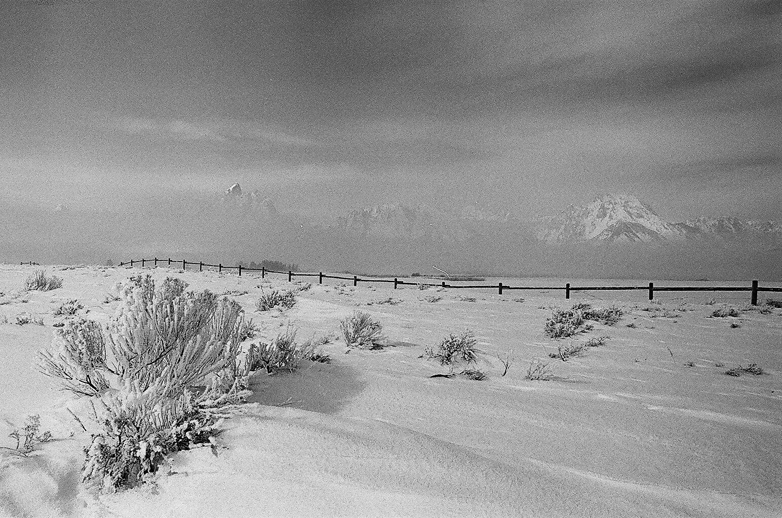 Grand Teton National Park on a foggy day, Jackson, Wyoming. 