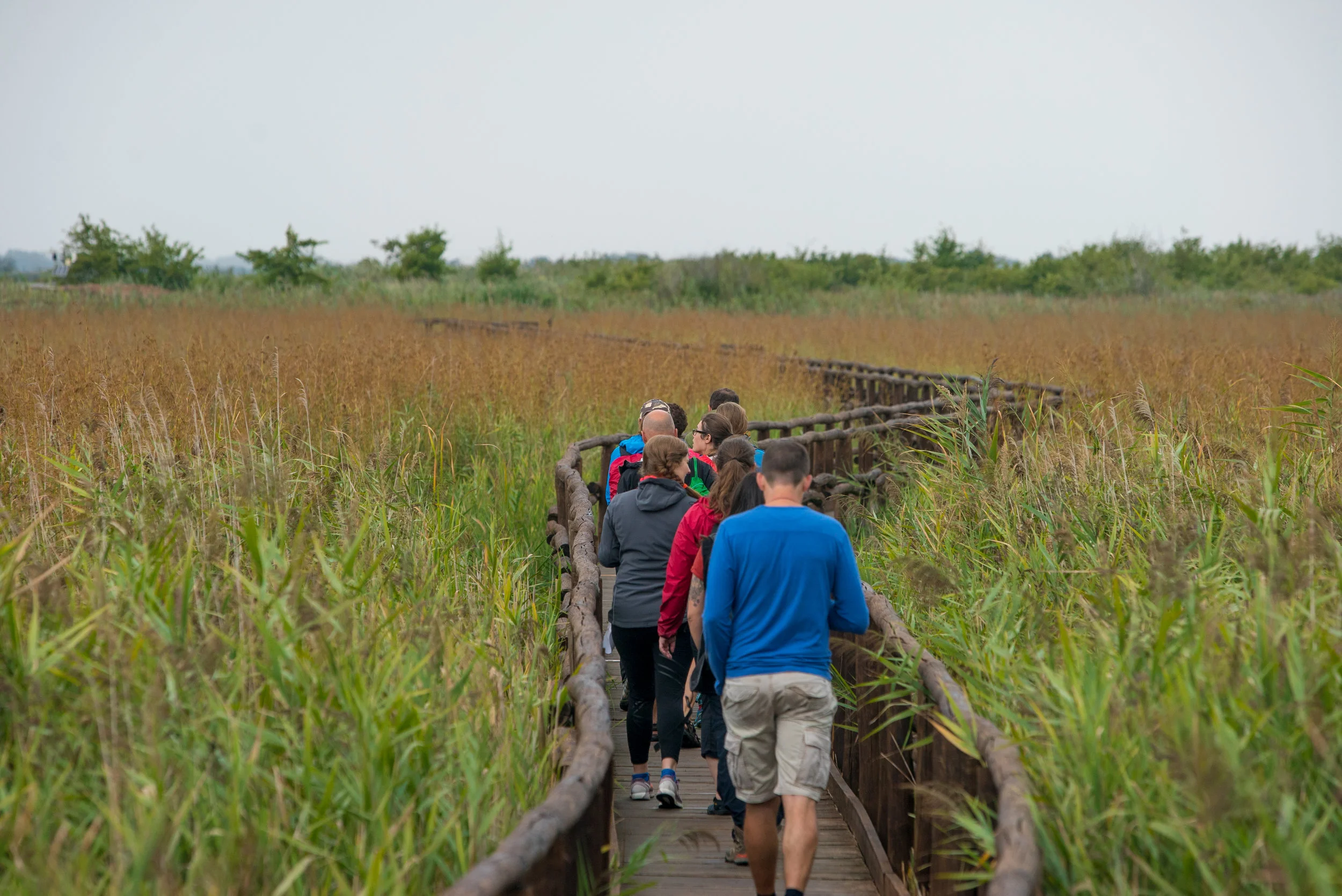 Why Tuscany is More Than Just Wine And Cheese