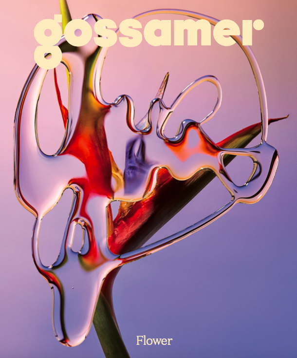 How to Weed Your Life