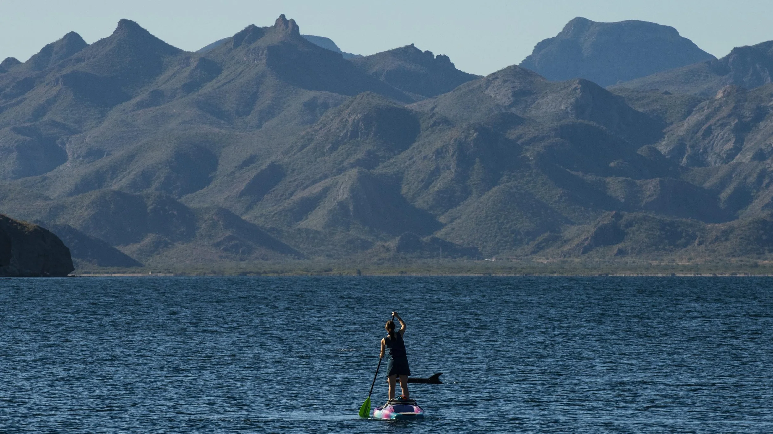 Meeting Wildlife Face to Face in the Sea of Cortez