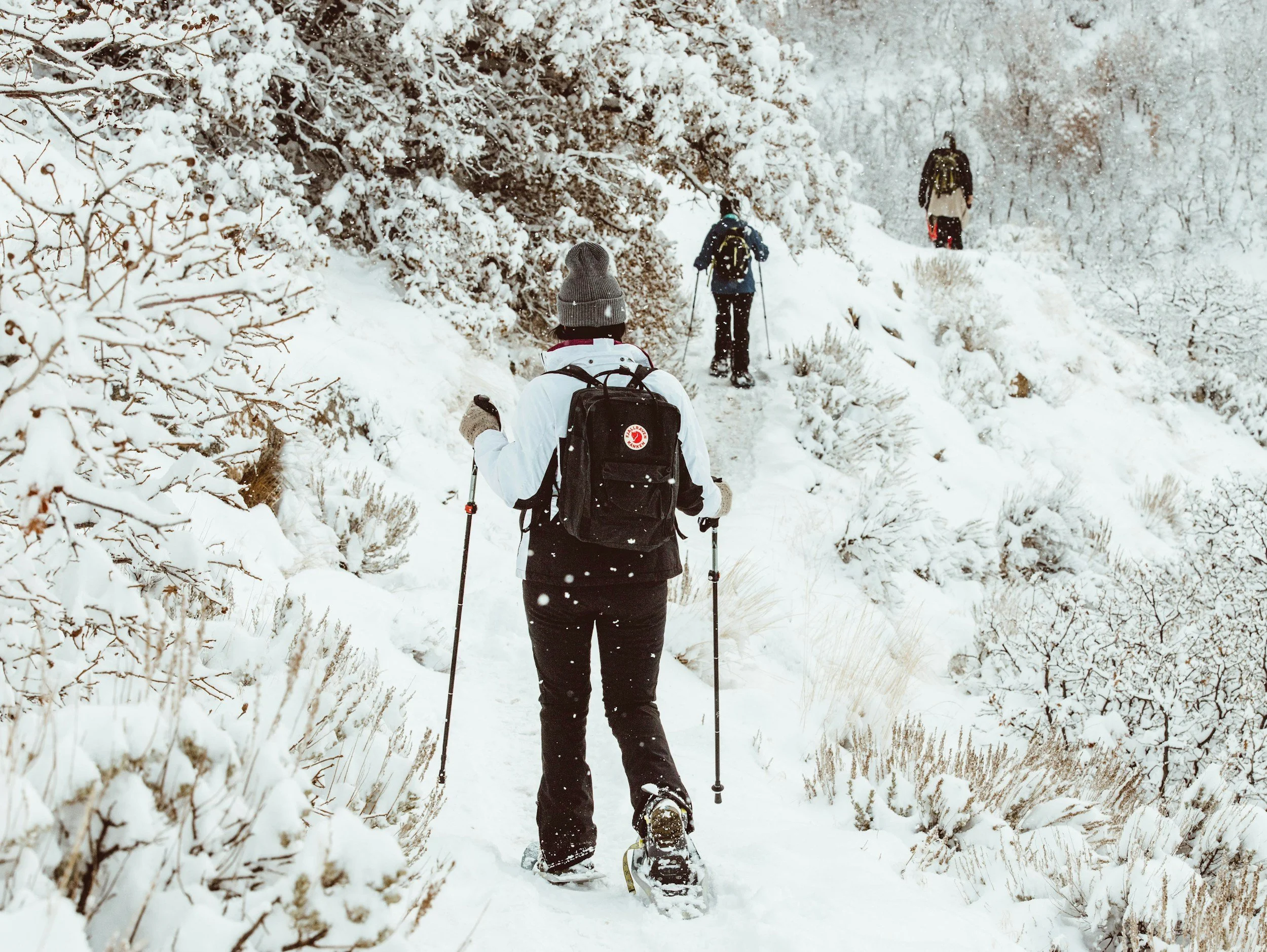 Plan Your Next Corporate Bonding Session — In the Dead of Winter