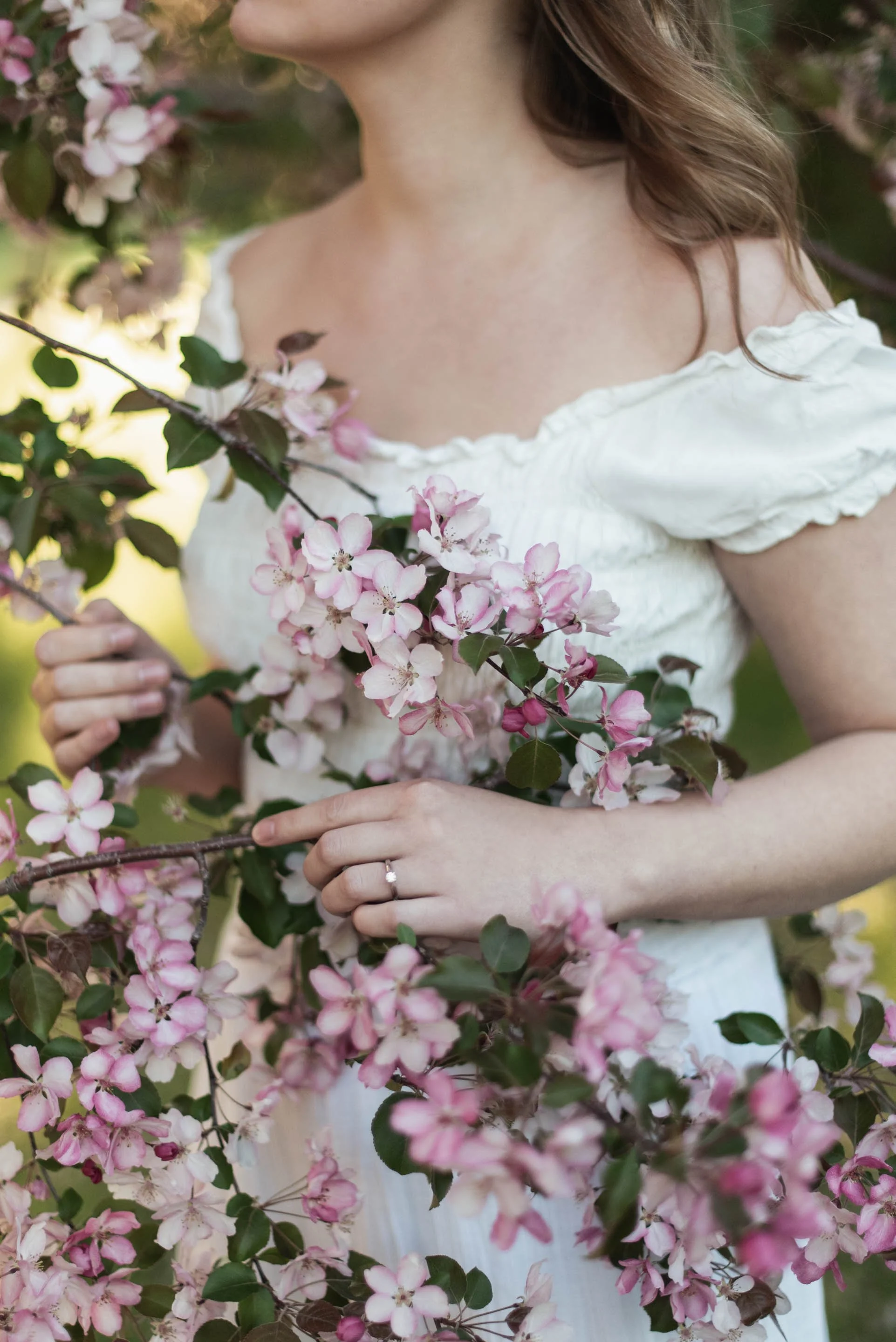 Apple Blossom