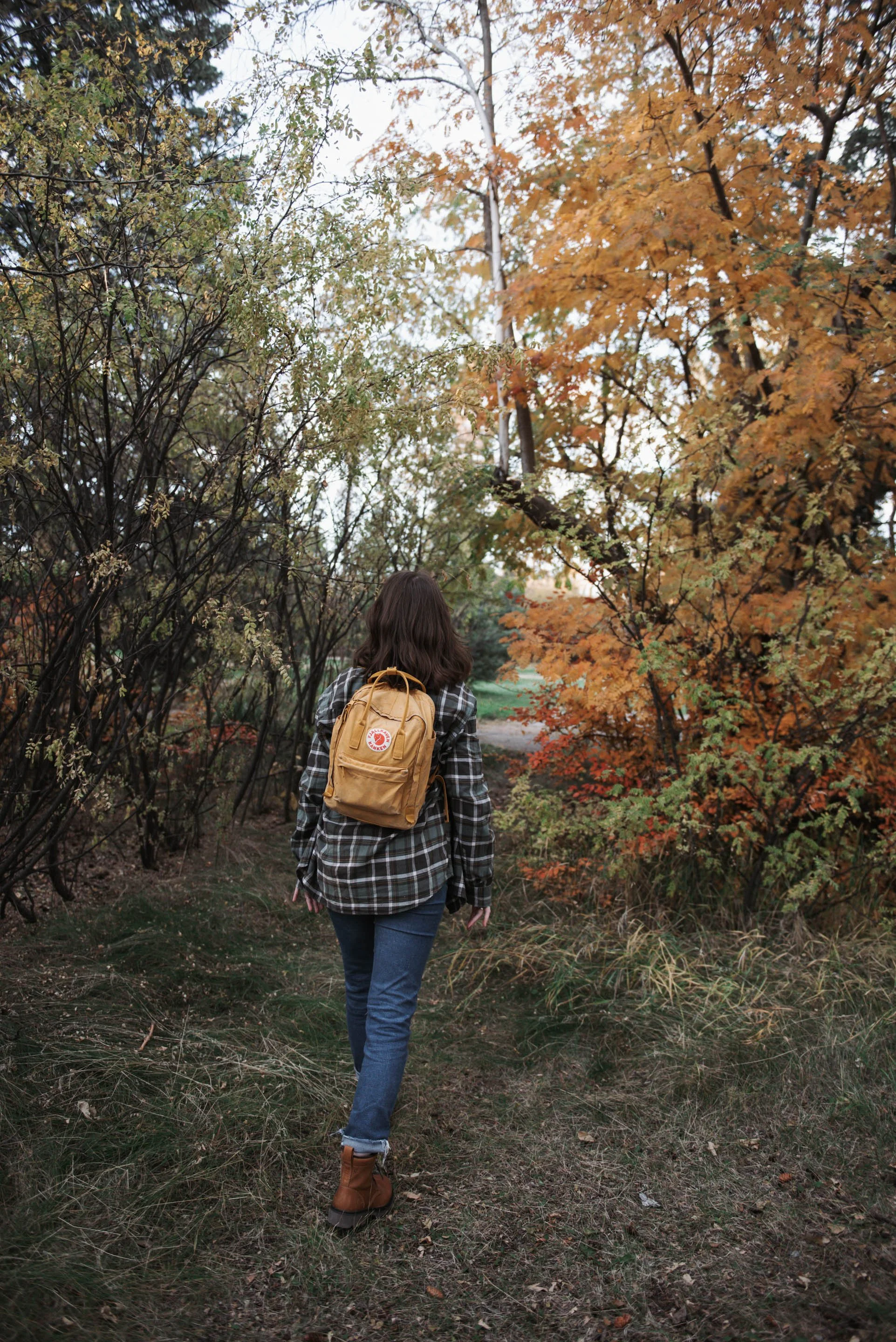 A Walk In The Woods