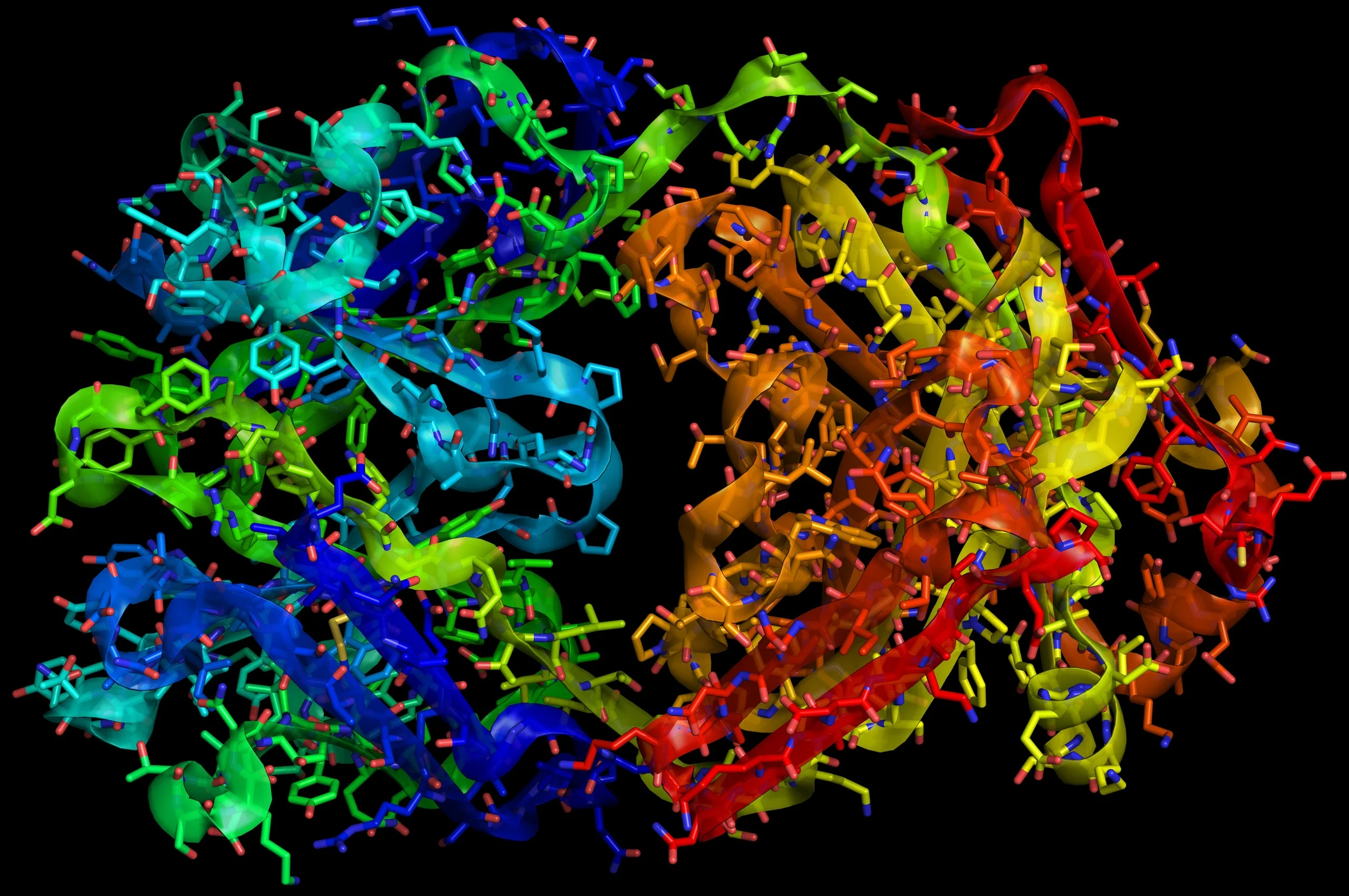 Protein Search and Visualization in PyMol weekend project