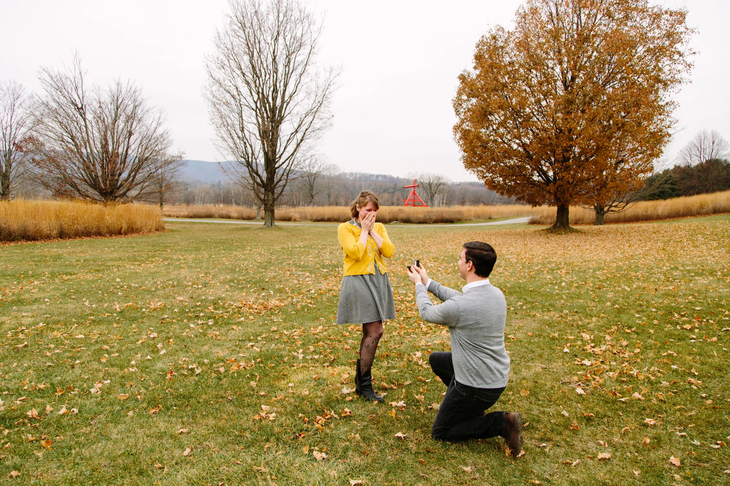 Surprise Proposal at Storm King