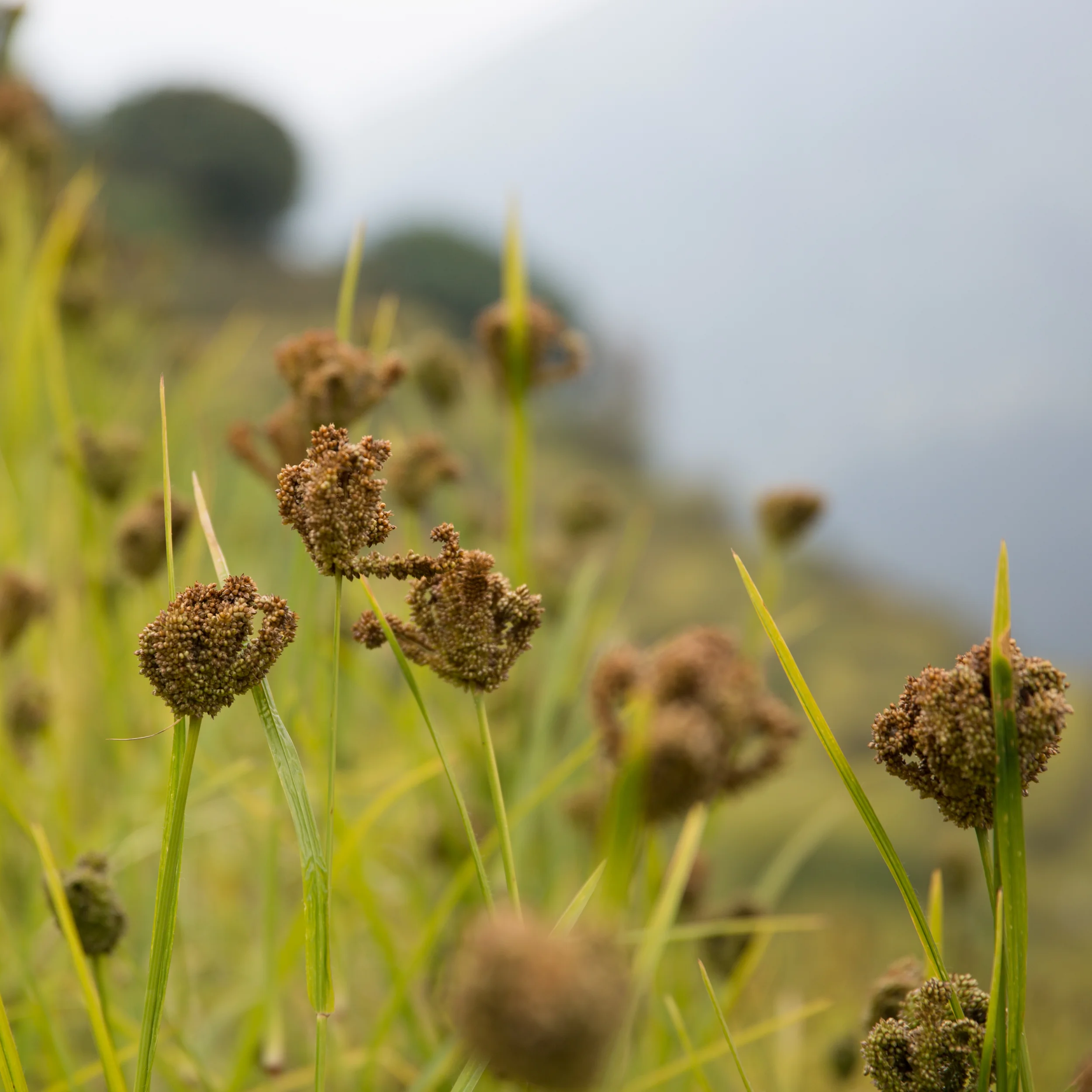 Nepal_Fotobuch-233.jpg