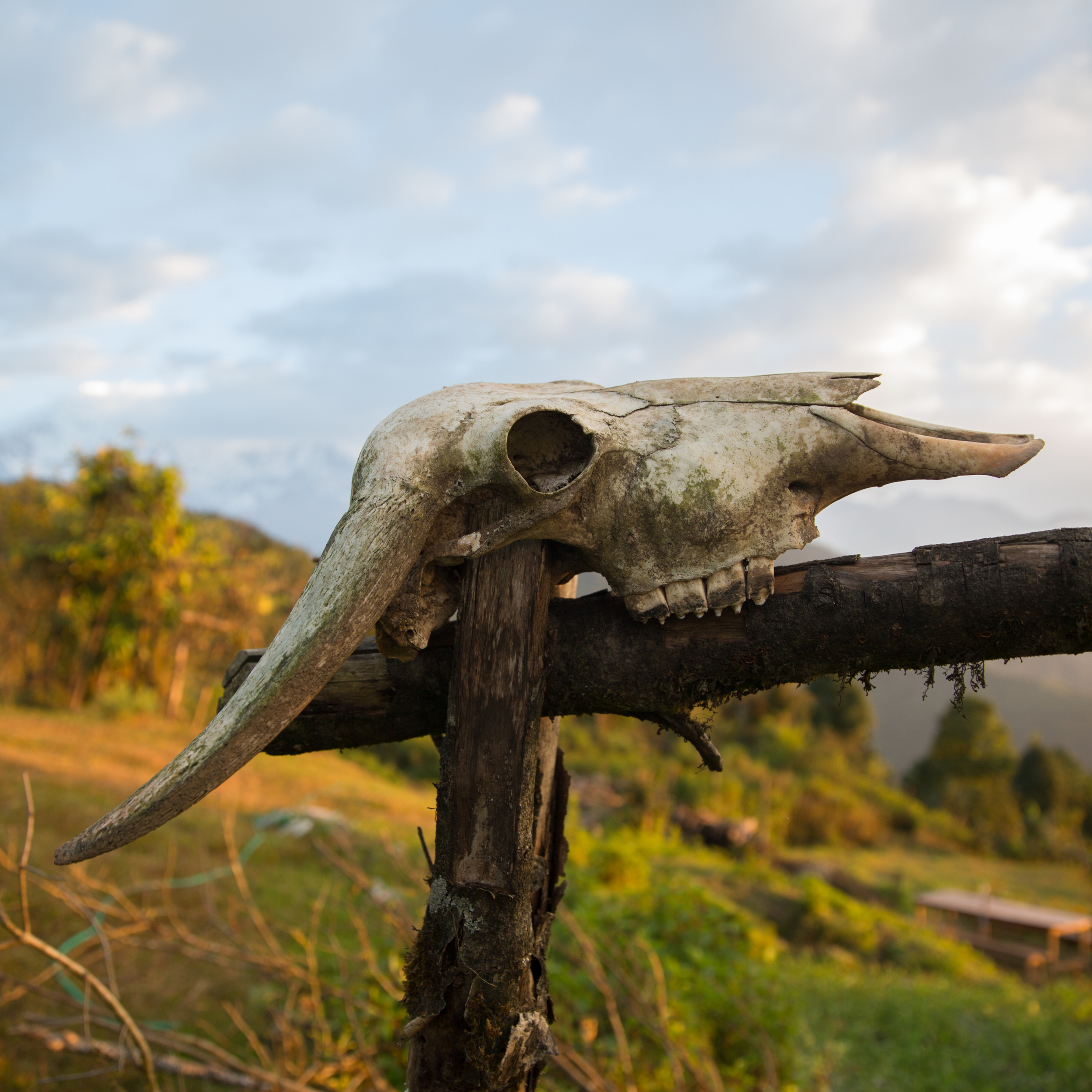 Nepal_Fotobuch-367.jpg