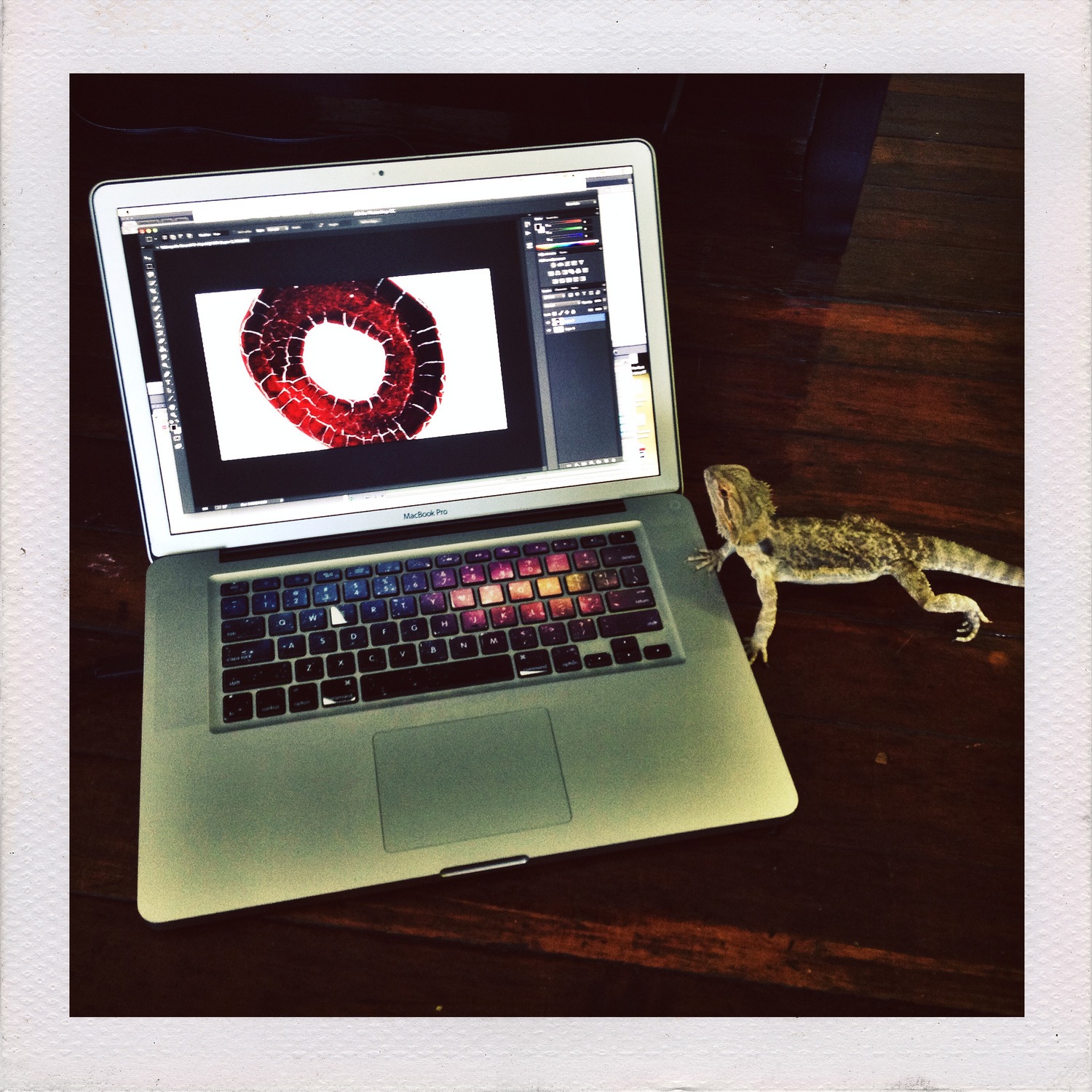   Being assisted by Quinn, Lara's bearded dragon,&nbsp;during post-production.  