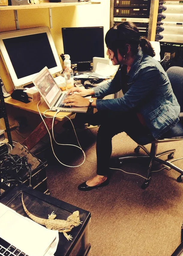 Putting the finishing touches on the film.