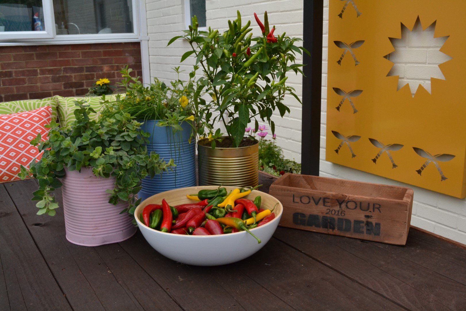 DSC_1036 (Large).JPG