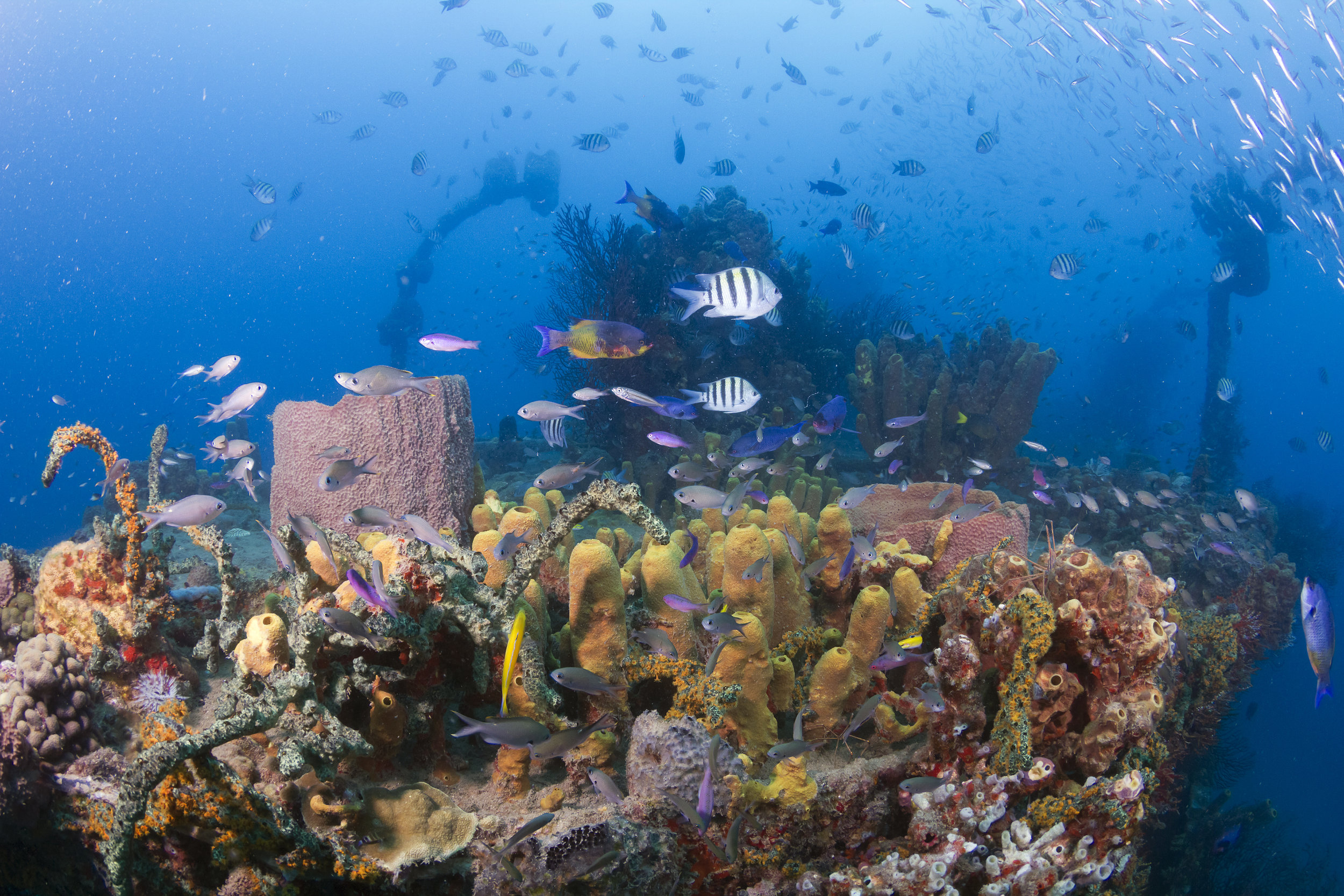 Ti Kaye Island Divers wreck dive 300m off shore.jpg