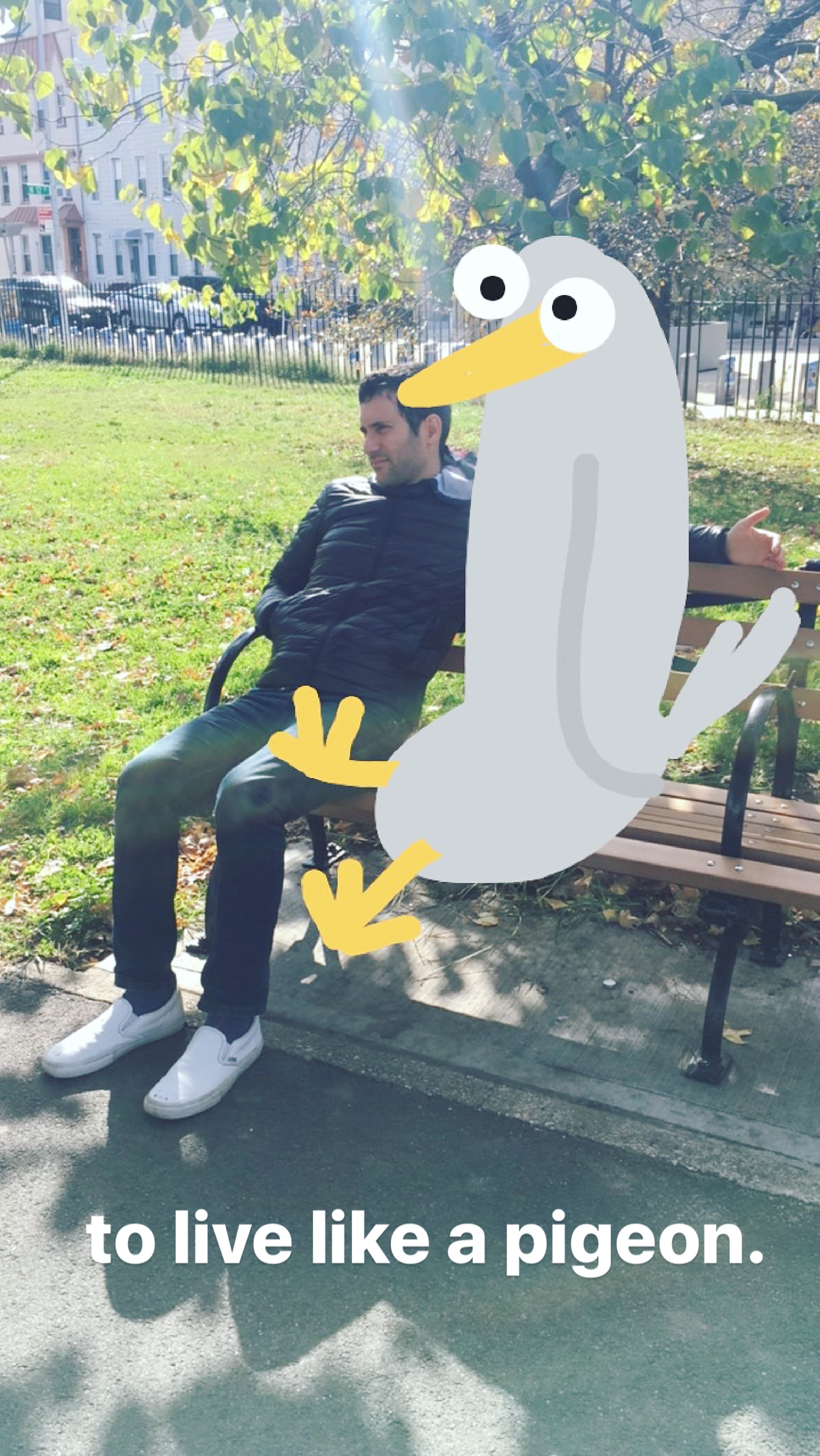 Stories-jonburgerman-3-5-Pigeon bench.JPG