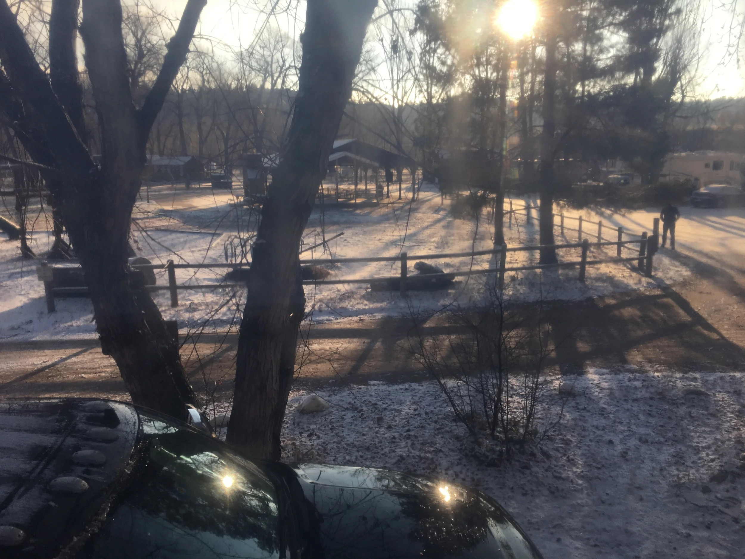 The view from our loft yesterday morning. Despite the longer than preferred drive to work, we couldn't have found a better place for our tiny house family to call home.