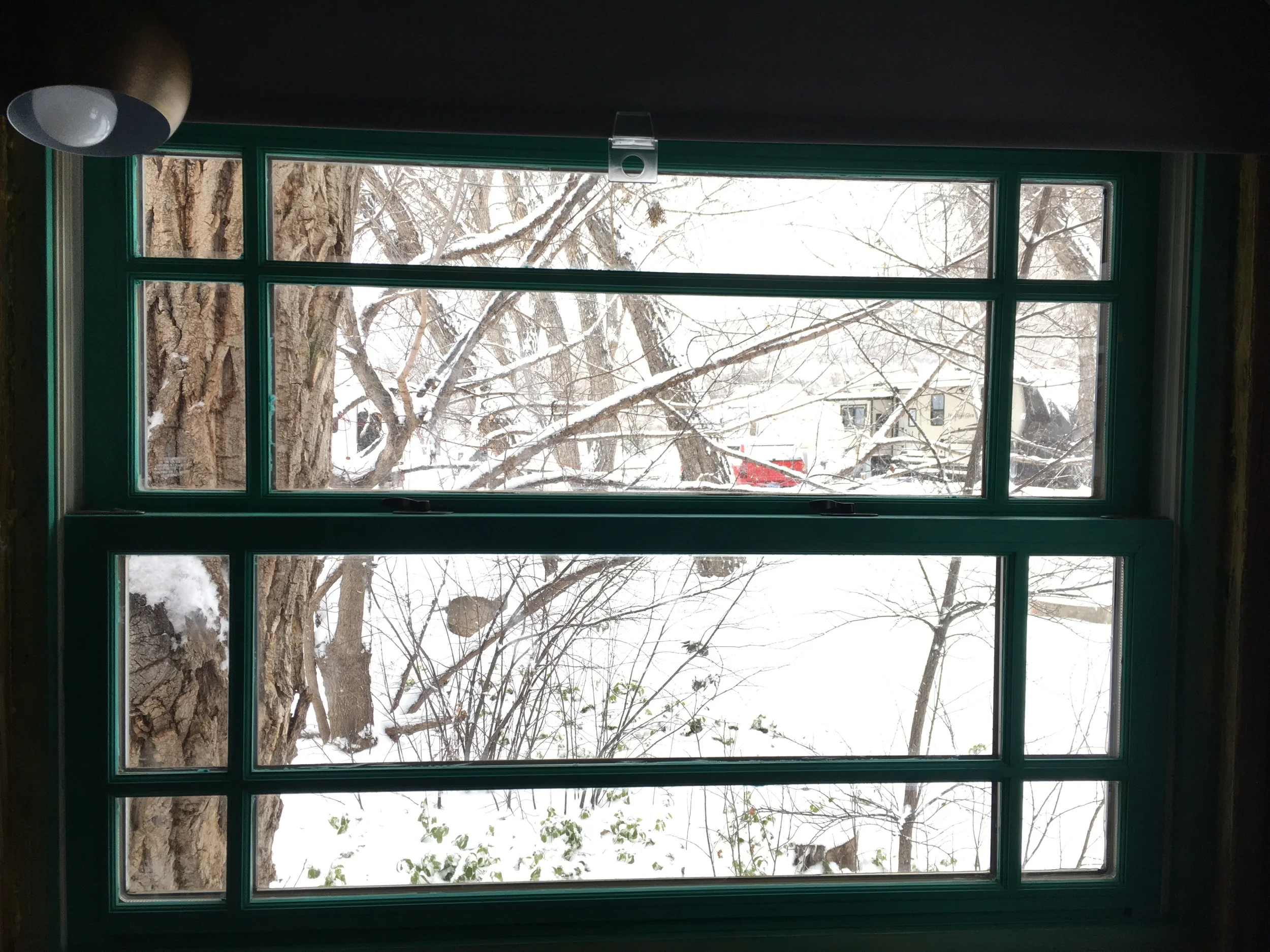 The view out the big blue window was magical this morning. 