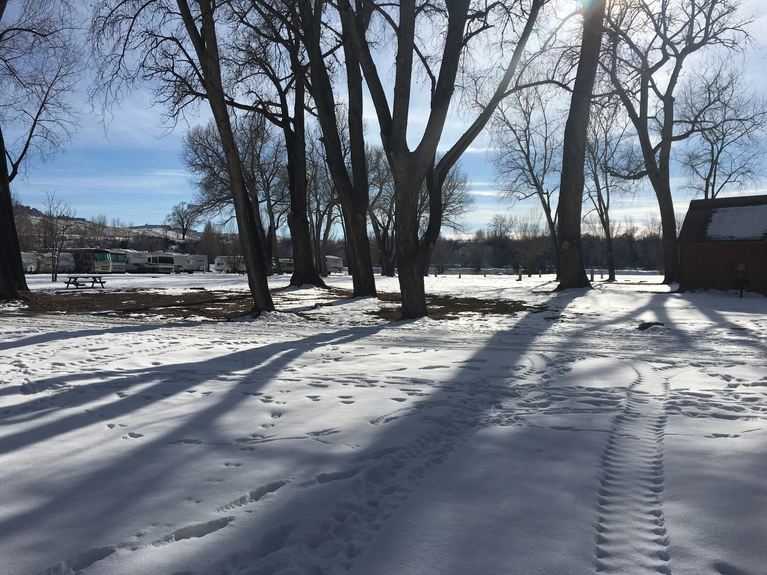 Behind those trees are the tent camping sites and the RV storage area. The river bends around behind that storage area, and there are trails that meander off to the right of that area as well.
