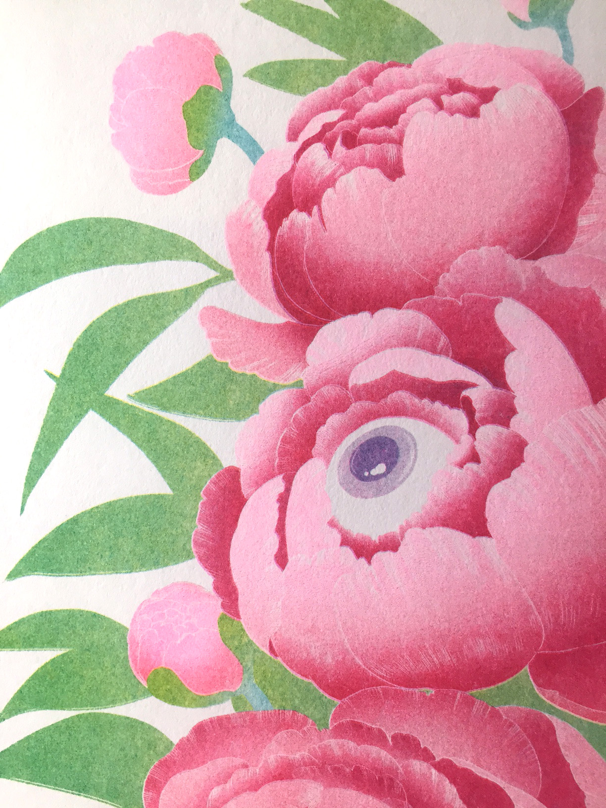 peony_topleft.jpg