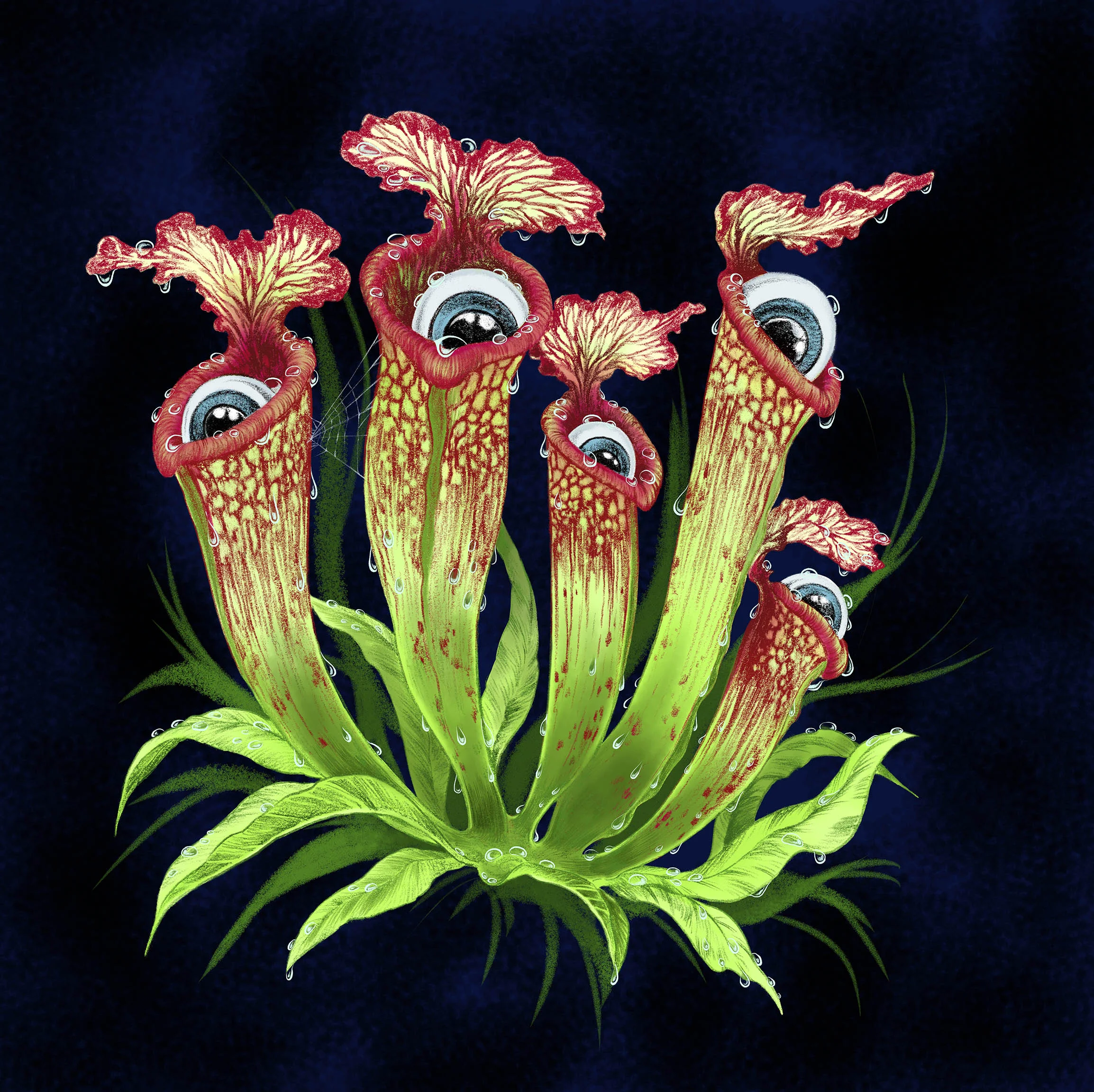pitcher_eyeballs.jpg