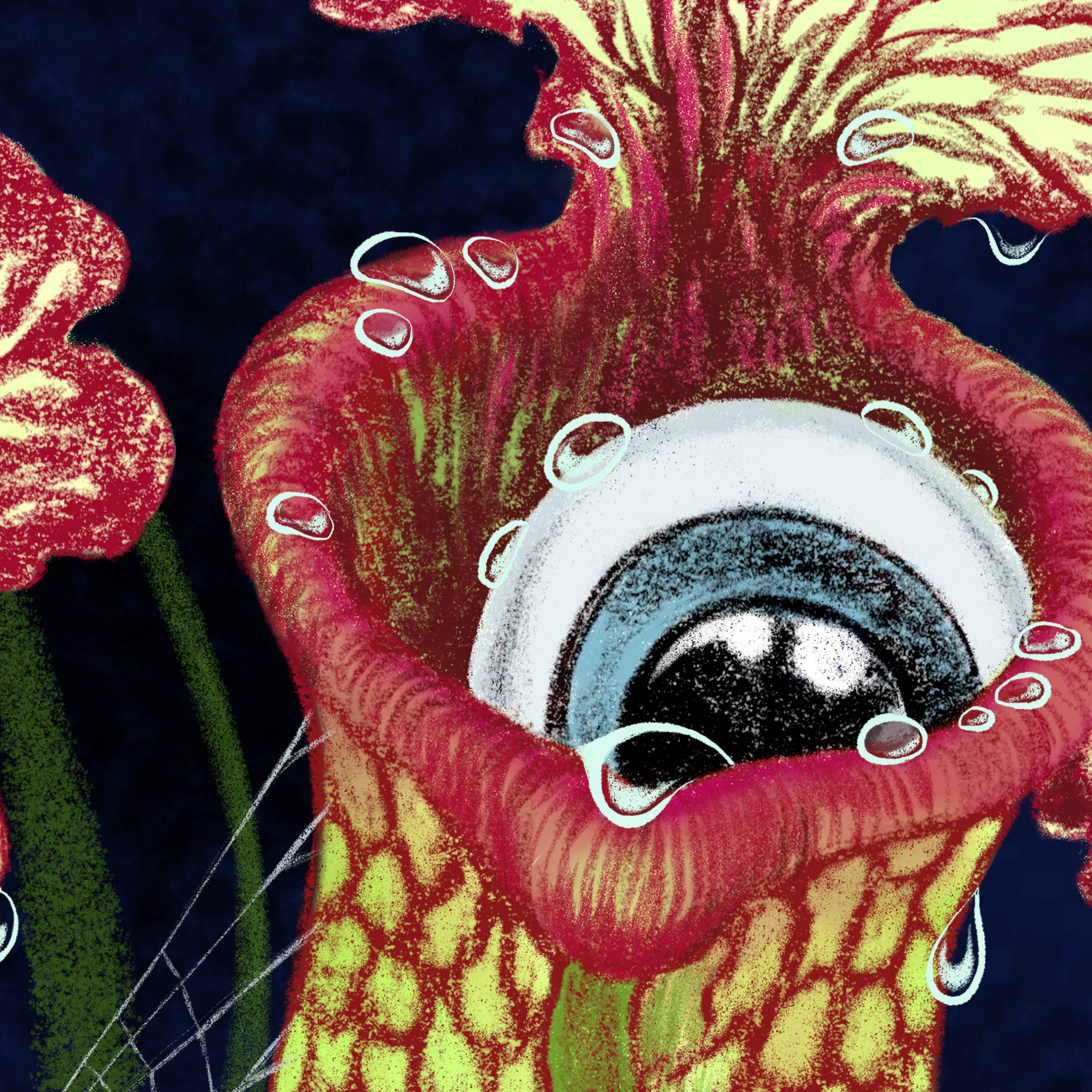 pitcher_eyeballs_closeup.jpg