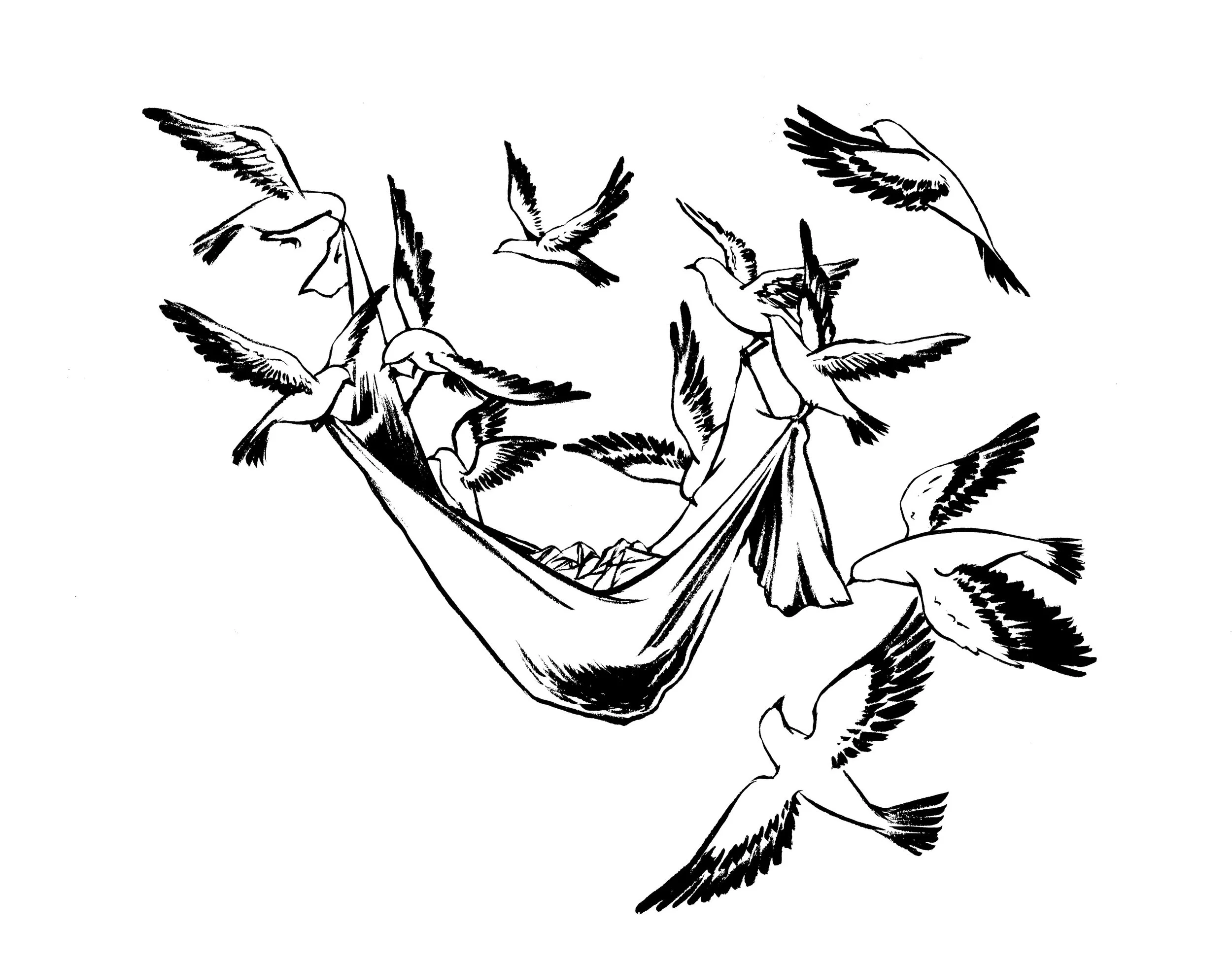 pigeons_salt.jpg
