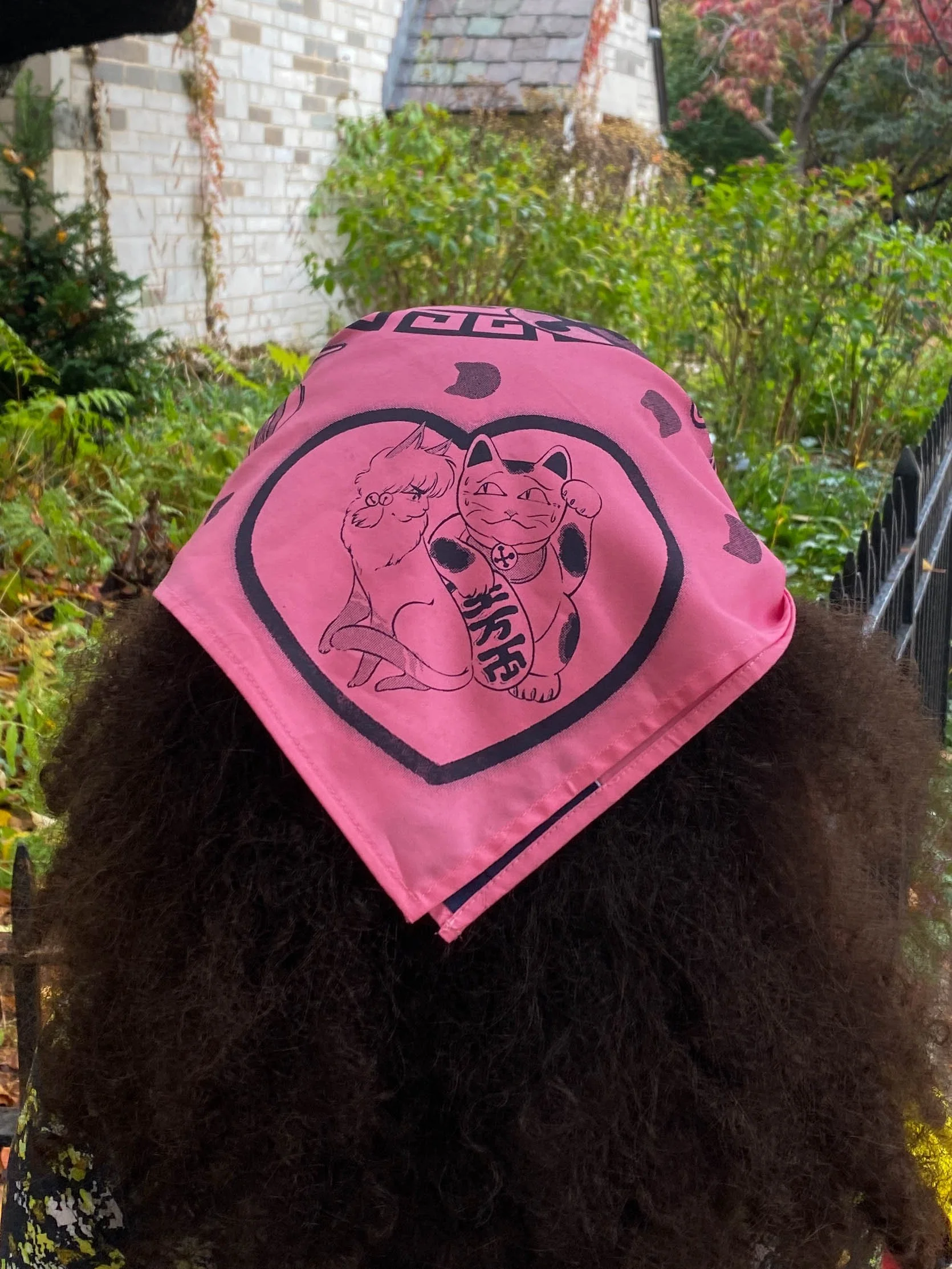 2022-11-01 12.10.26-1.jpg