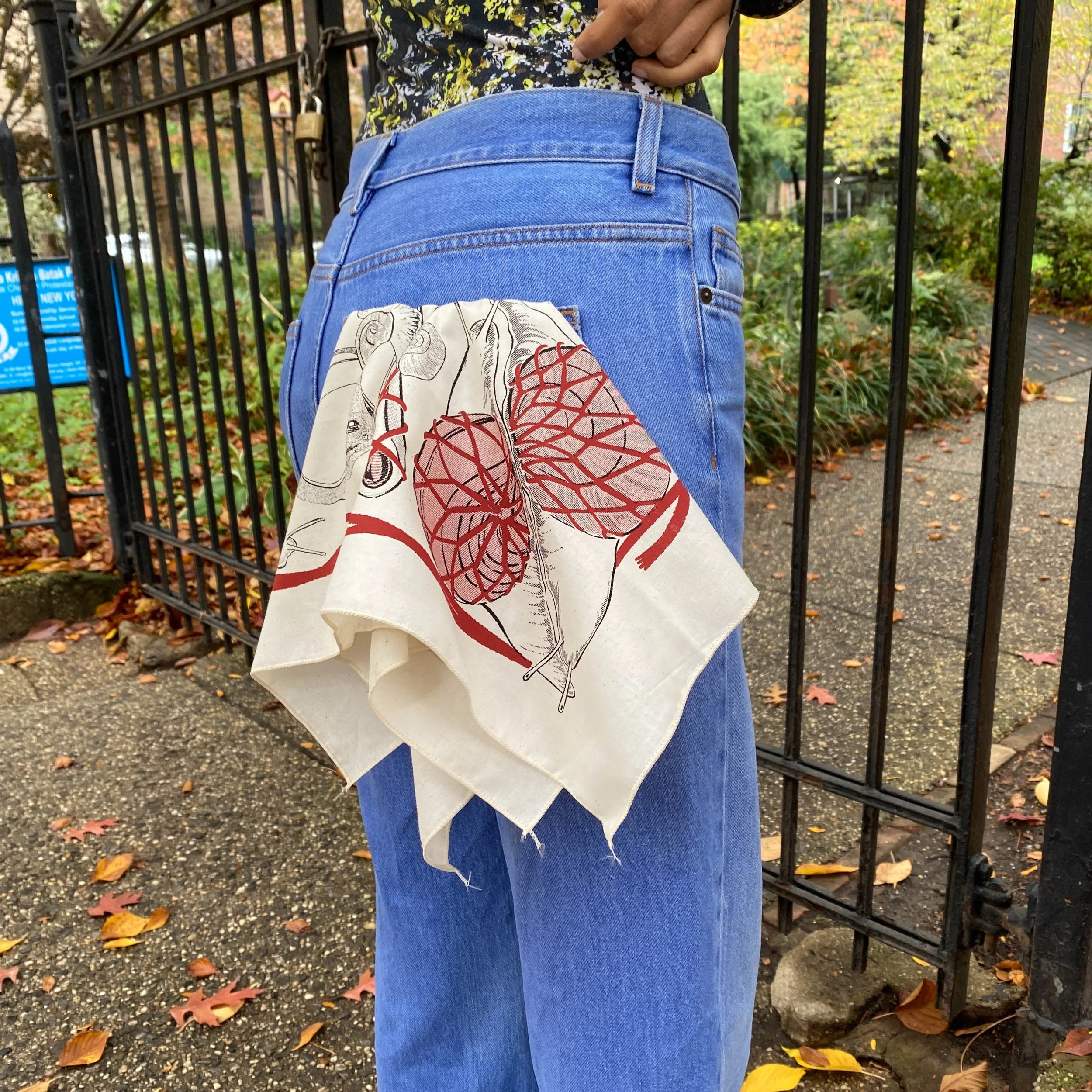 2022-11-01 12.04.13-3.jpg