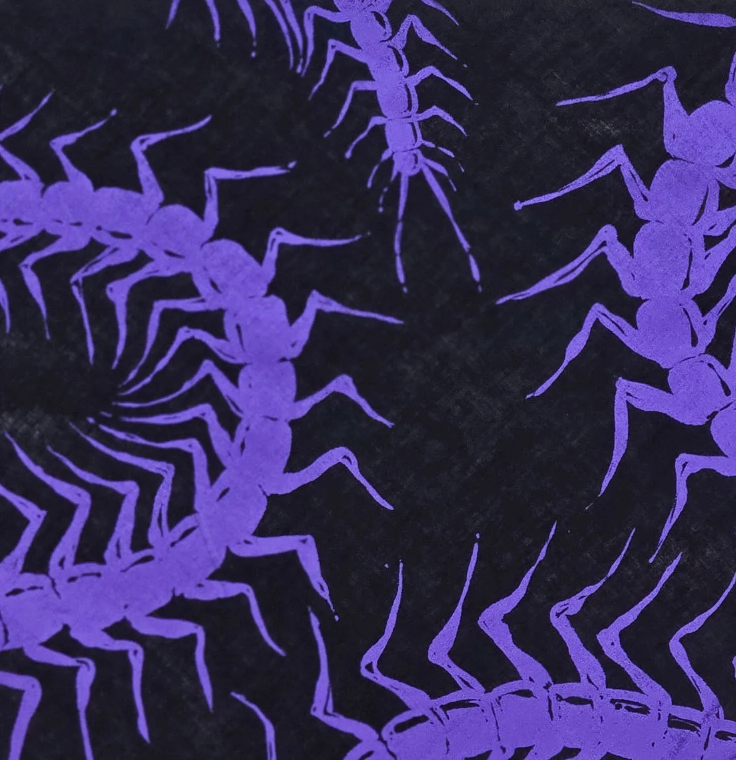 2025-10-02 09.18.26.jpg