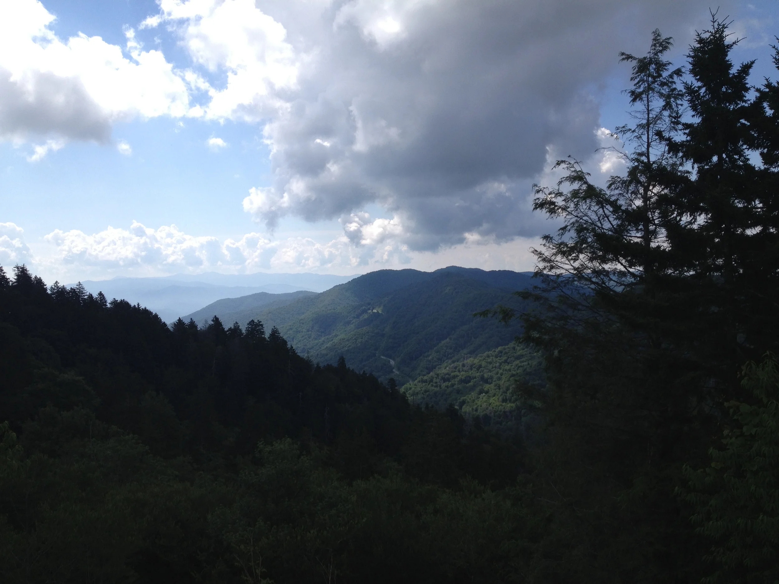 IMG_2271.jpg