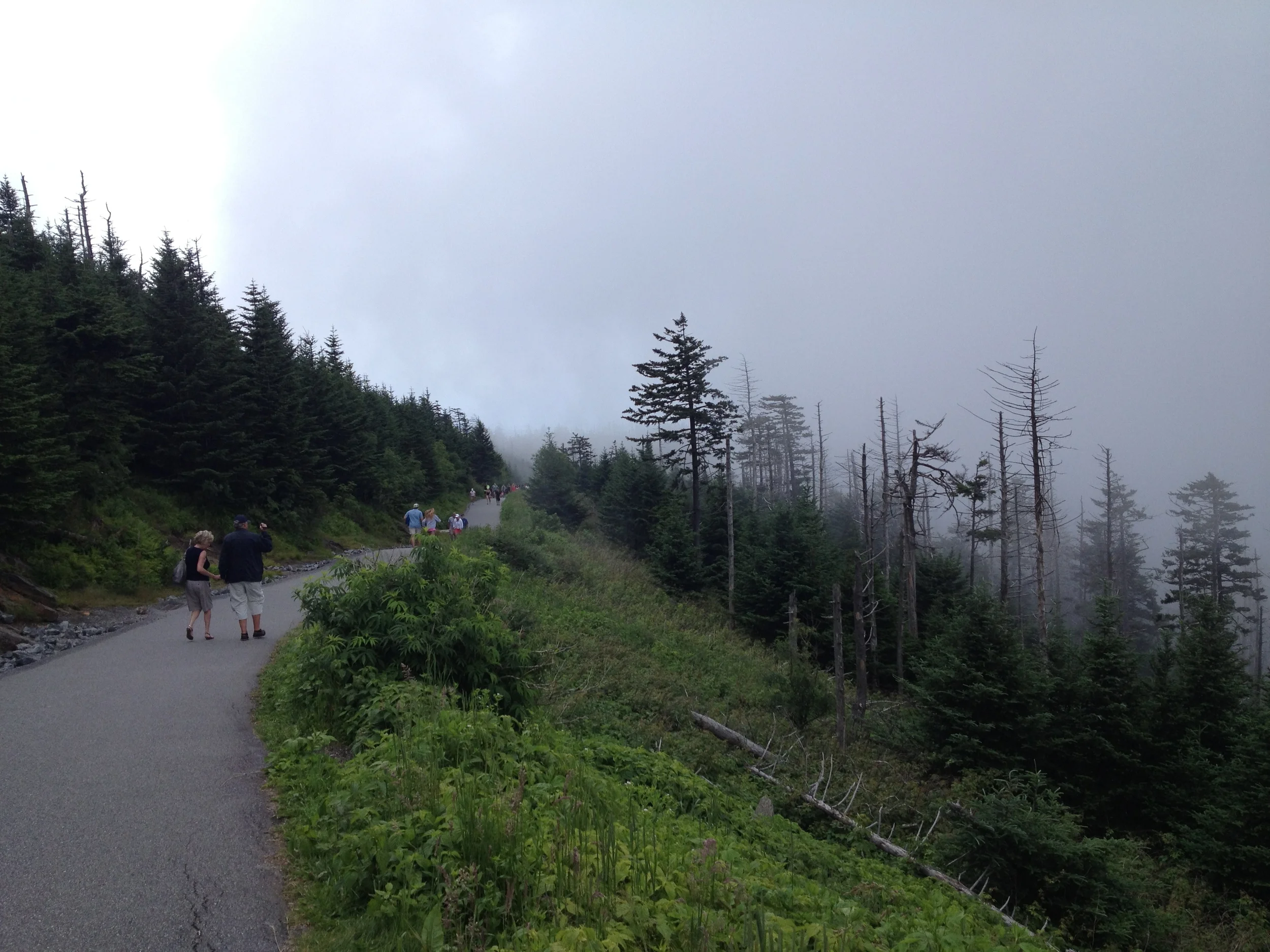 IMG_2320.jpg