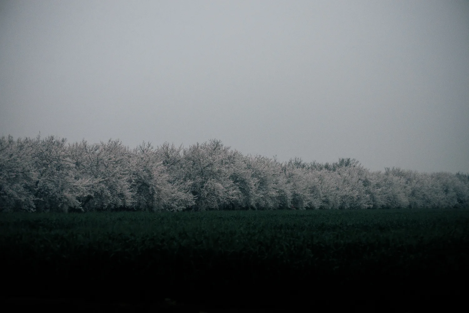 DSC_4171 (1).jpg