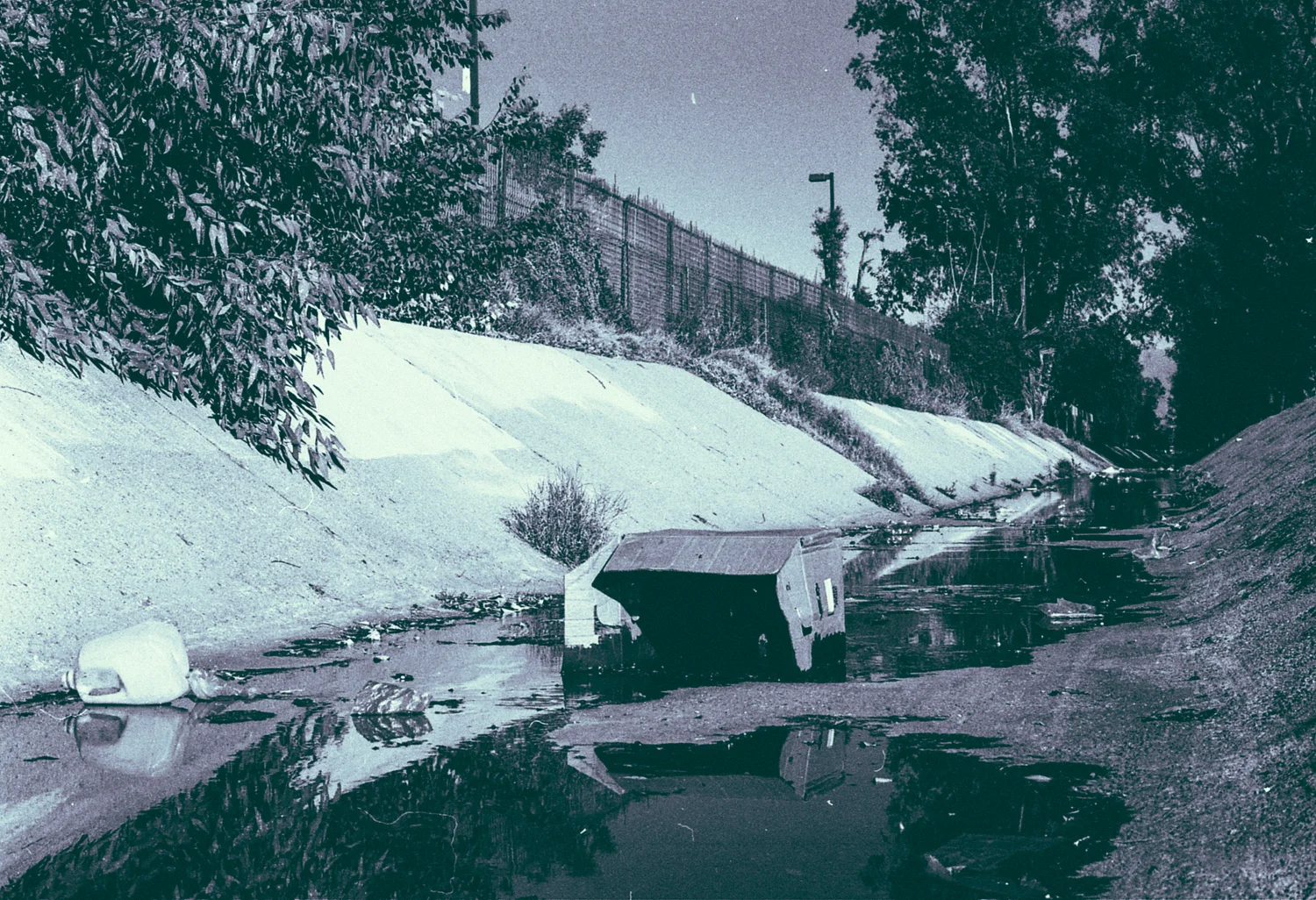 img016.jpg