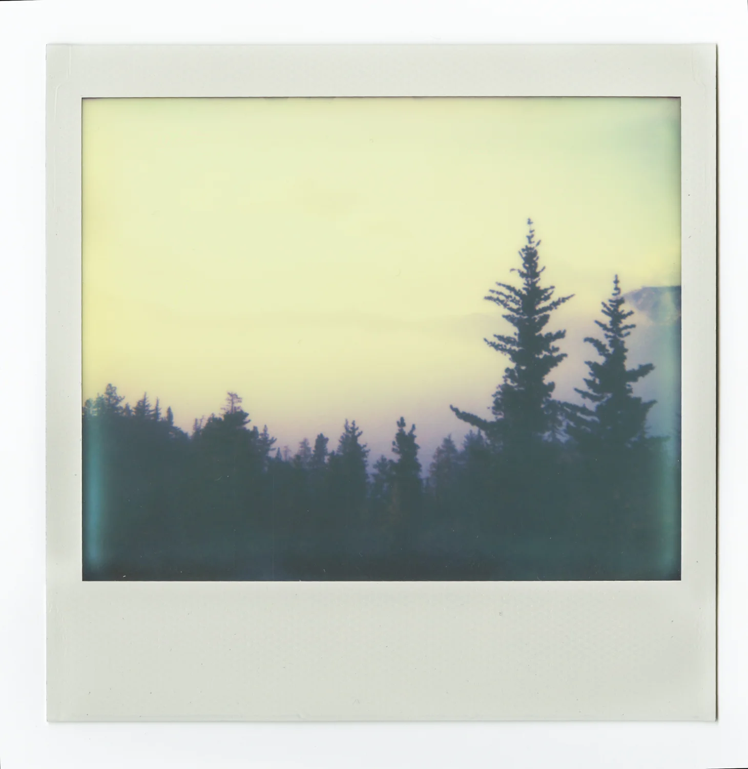 Scan10 1-2.jpg