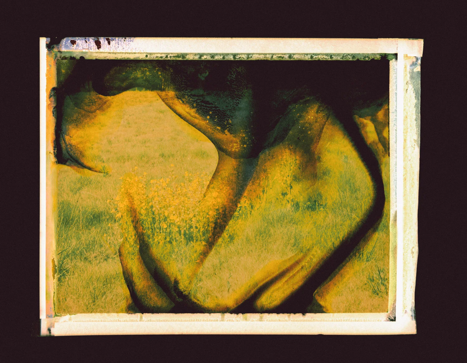 fp100c neg2.jpg