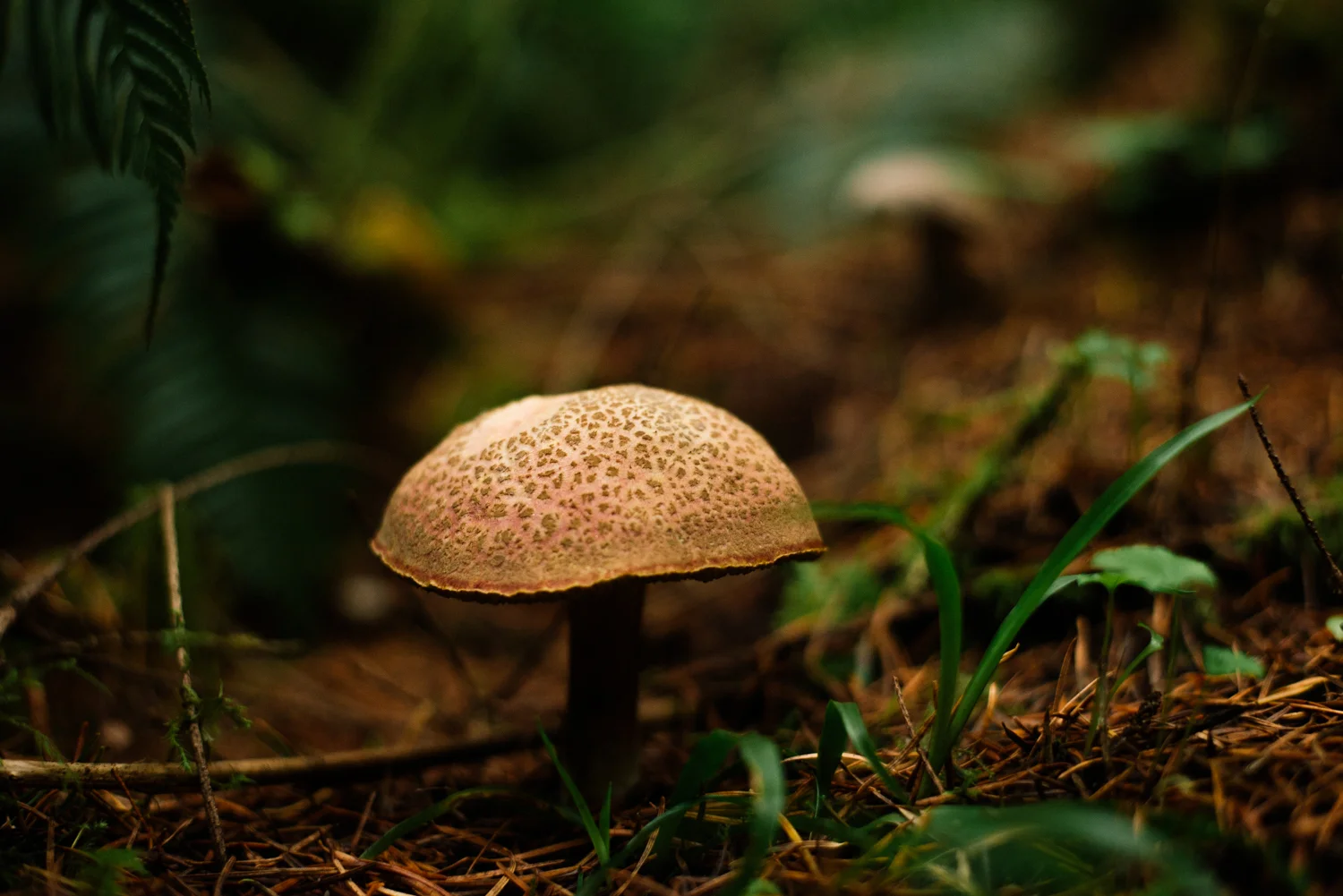 DSC_2324.jpg