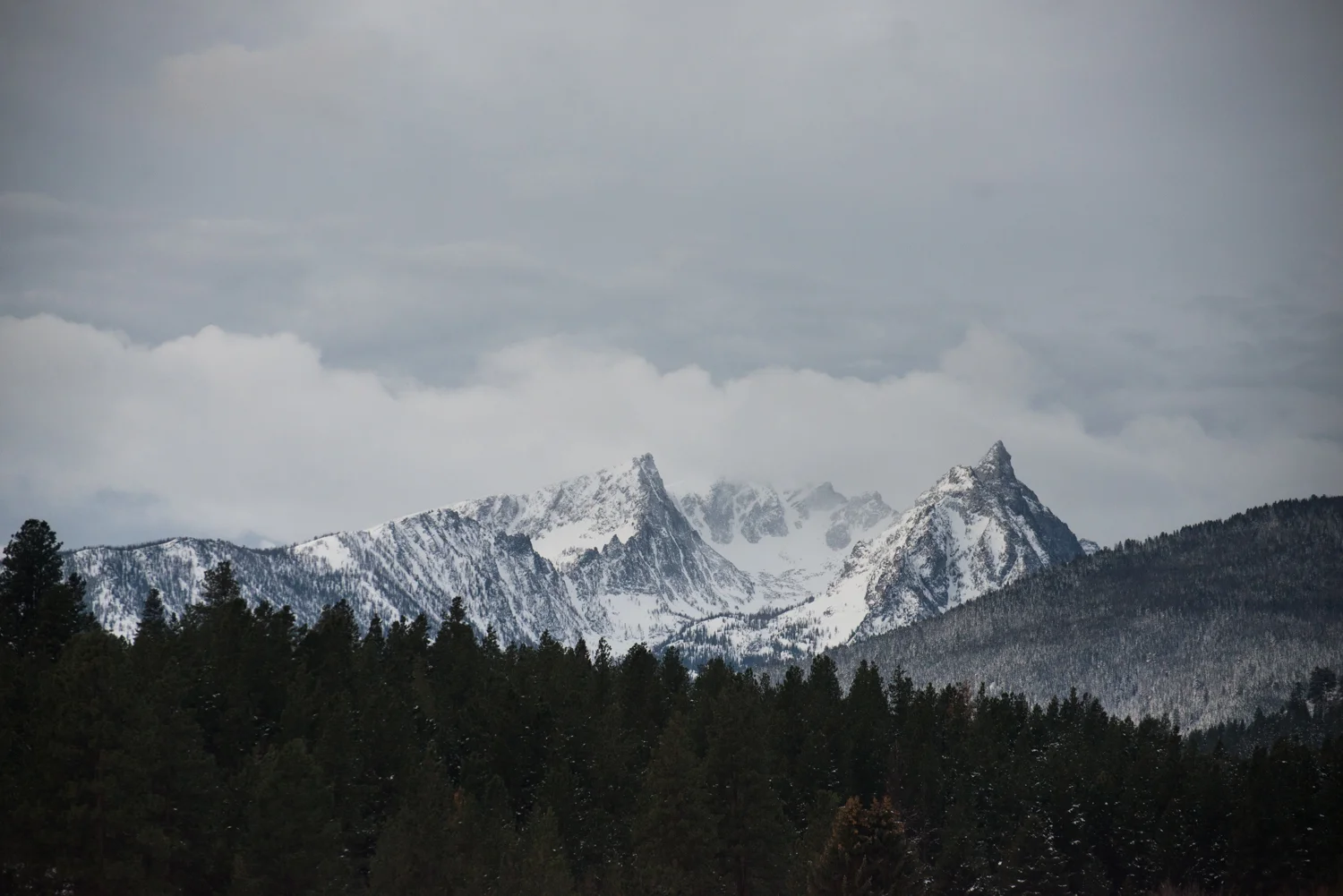 DSC_0827.jpg